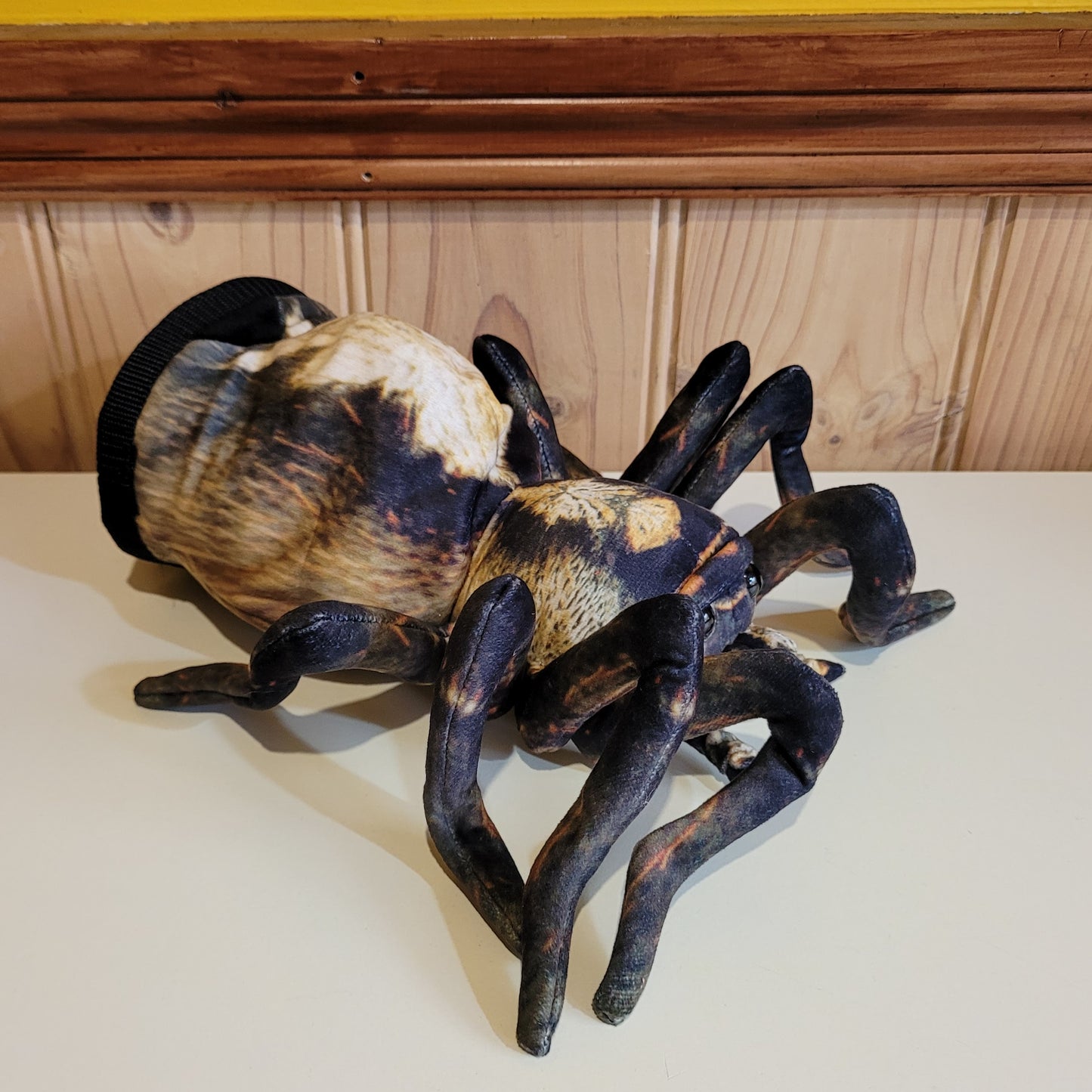 Spider Rock Climbing Chalk Bag