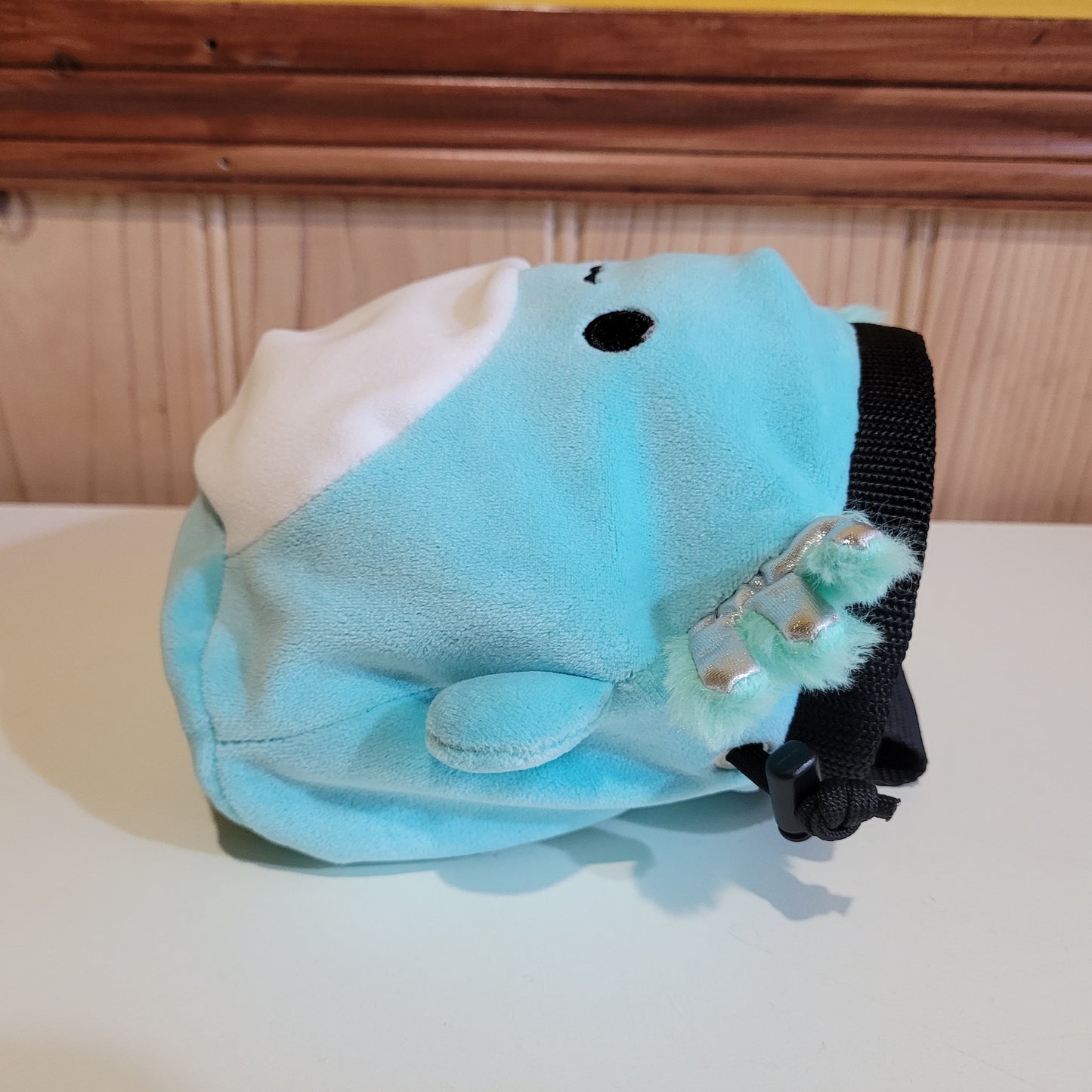 Axolotl Rock Climbing Chalk Bag