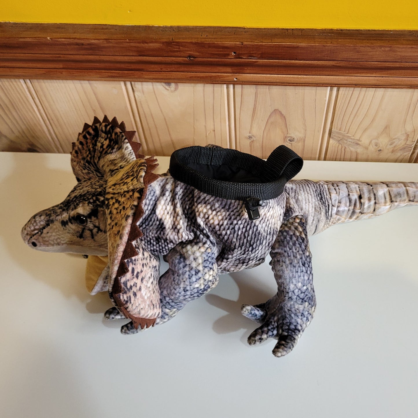 Frilled Neck Lizard Rock Climbing Chalk Bag