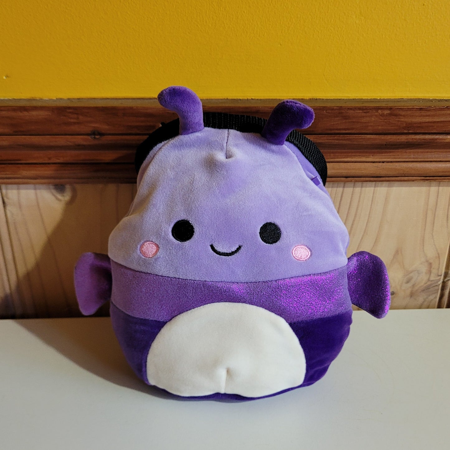 Purple Iridescent Beetle Rock Climbing Chalk Bag