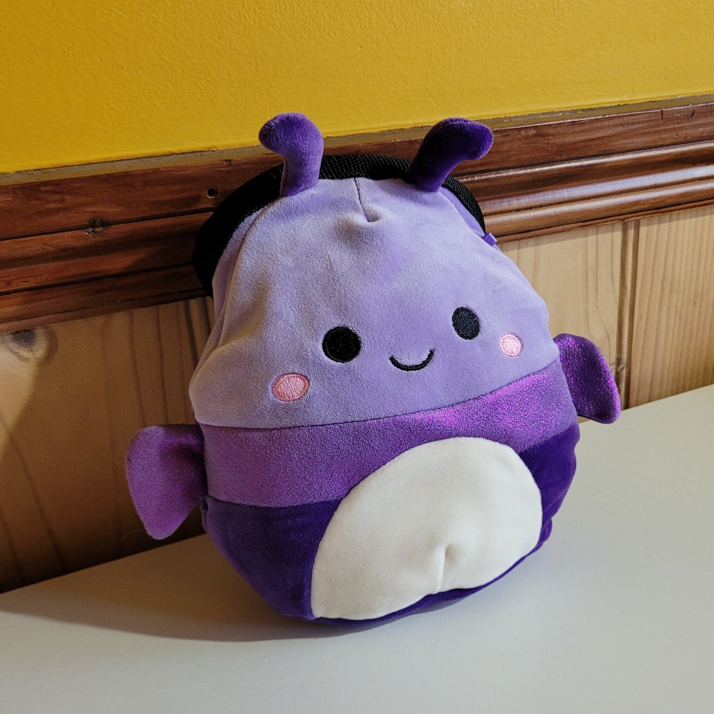 Purple Iridescent Beetle Rock Climbing Chalk Bag
