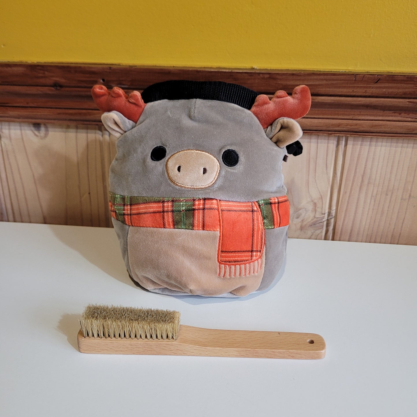 Moose Rock Climbing Chalk Bag