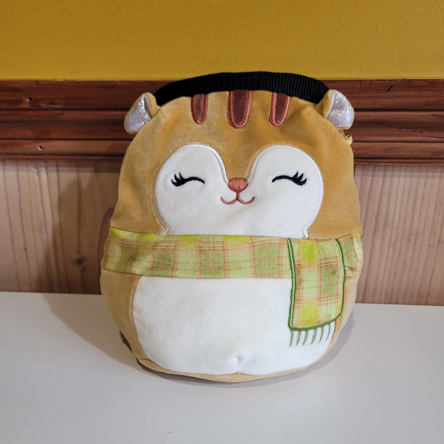 Squirrel Rock Climbing Chalk Bag