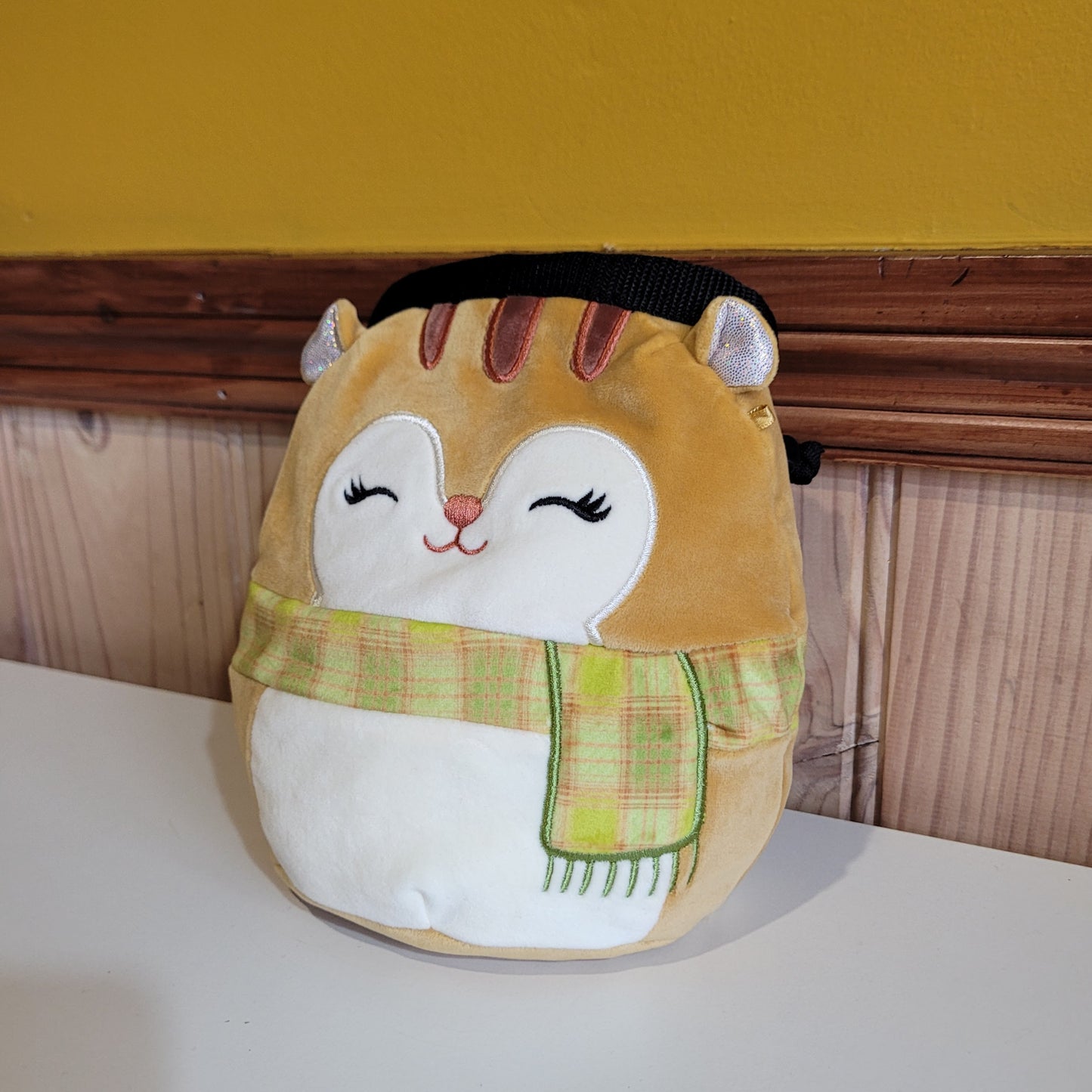 Squirrel Rock Climbing Chalk Bag