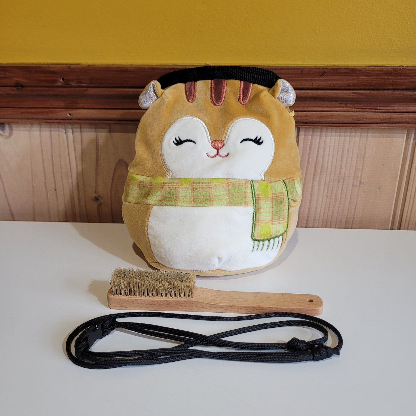 Squirrel Rock Climbing Chalk Bag