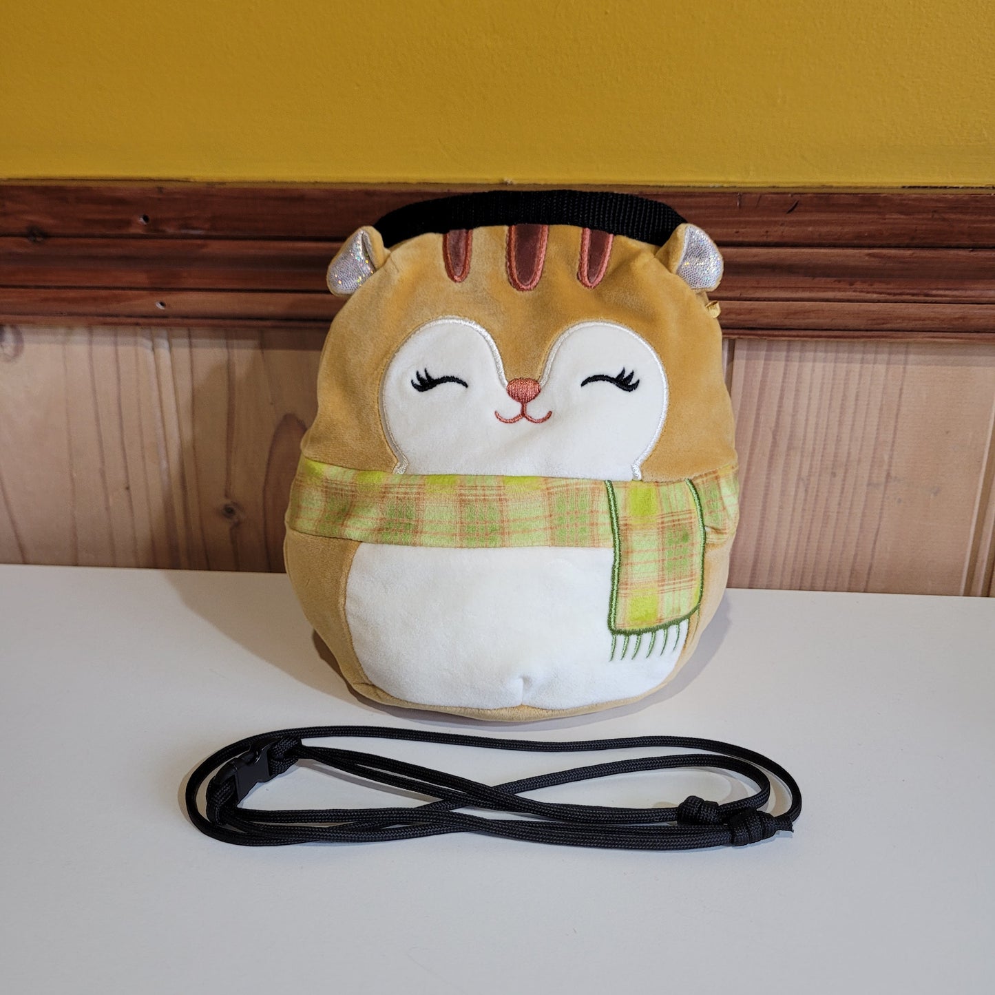 Squirrel Rock Climbing Chalk Bag