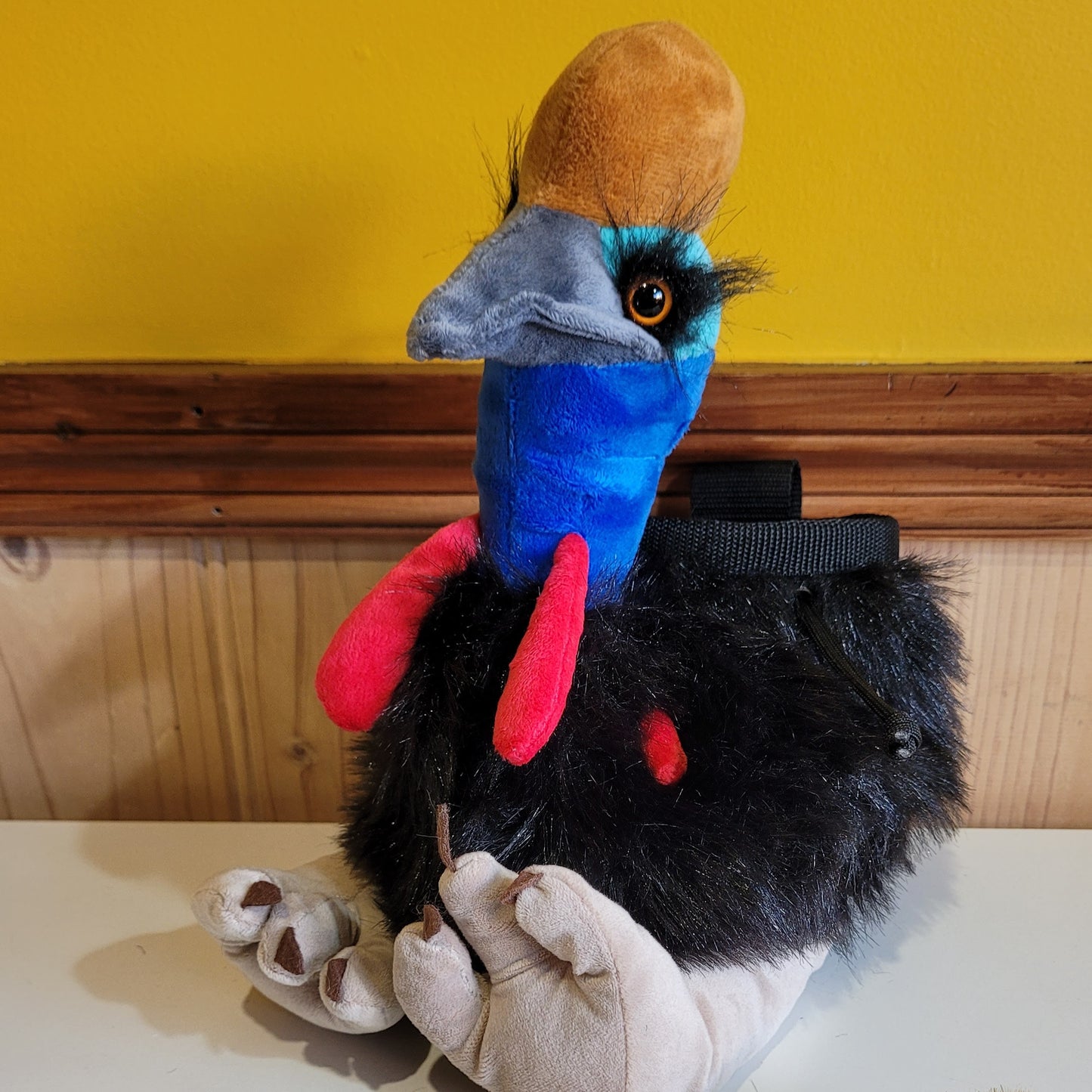 Cassowary Rock Climbing Chalk Bag