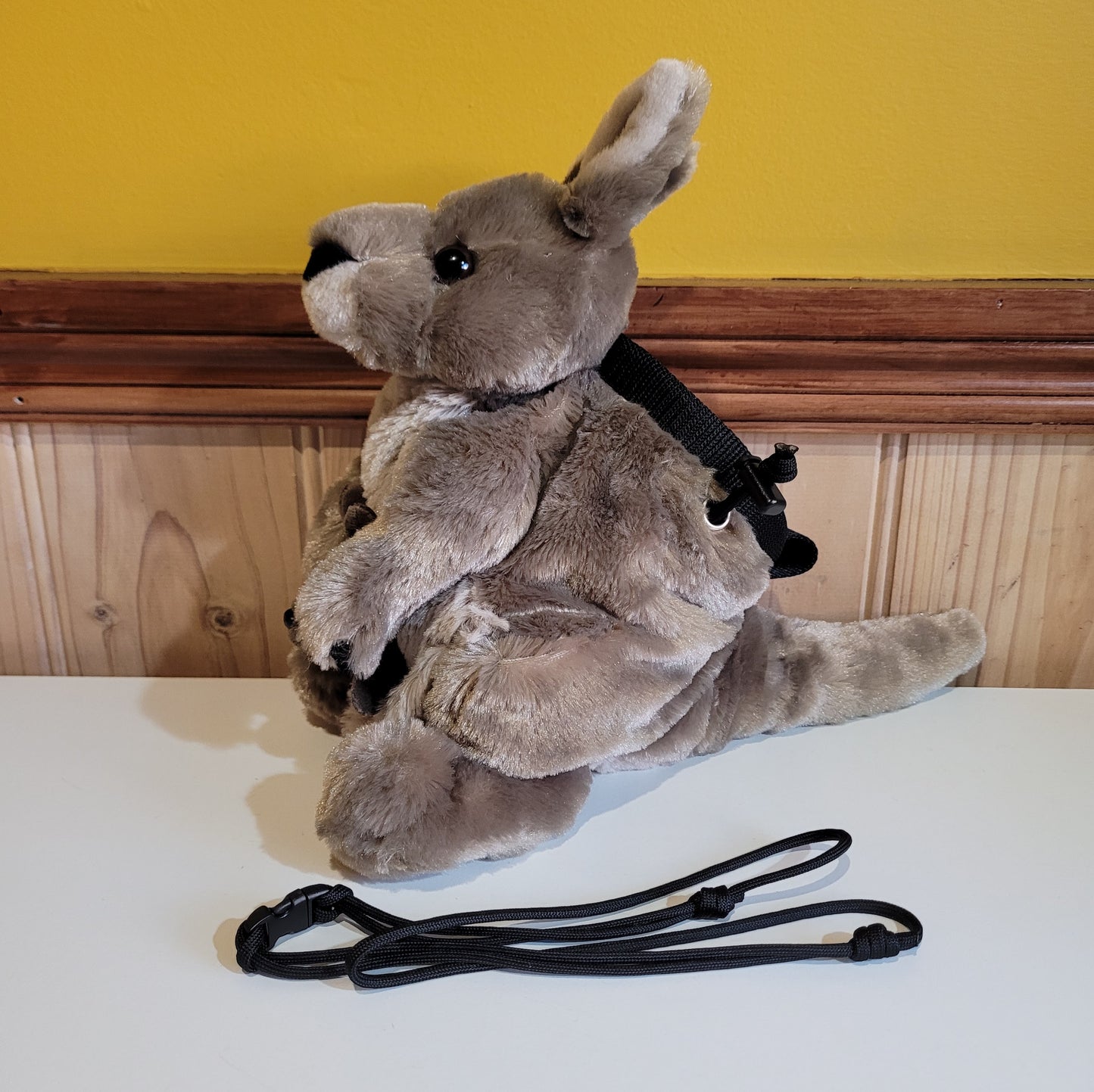 Kangaroo Rock Climbing Chalk Bag