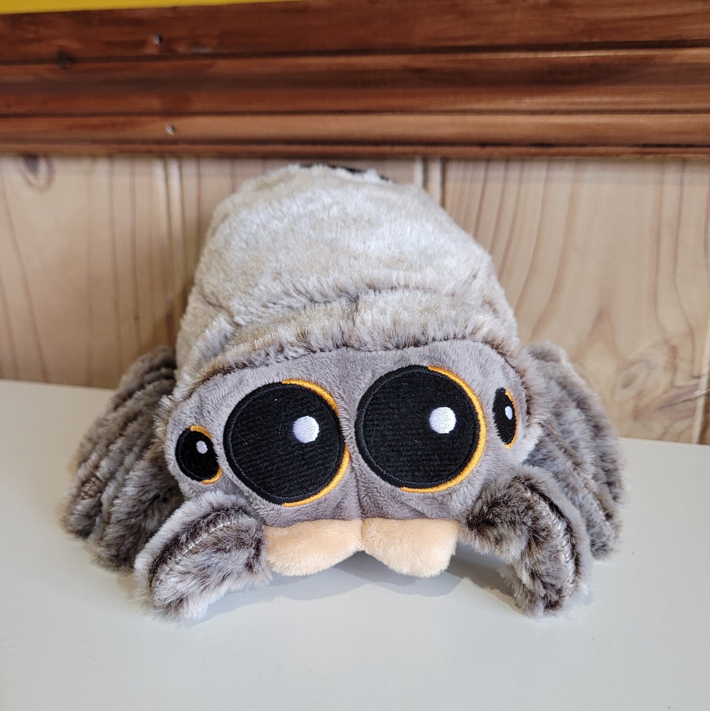 Adorable Jumpy Spider Rock Climbing Chalk Bag