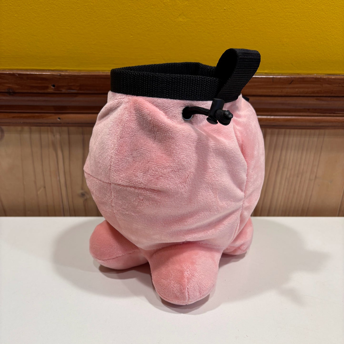 Custom Rock Climbing Chalk Bag for Tyler