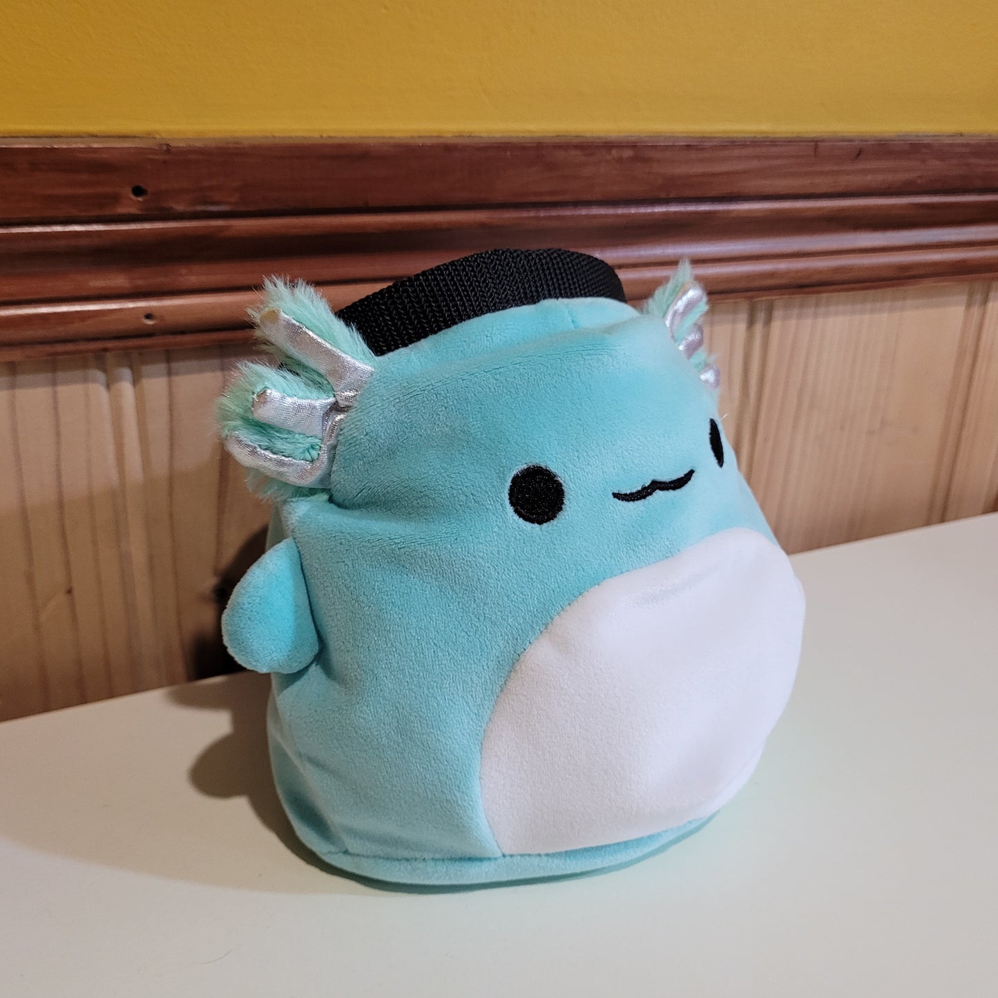 Axolotl Rock Climbing Chalk Bag