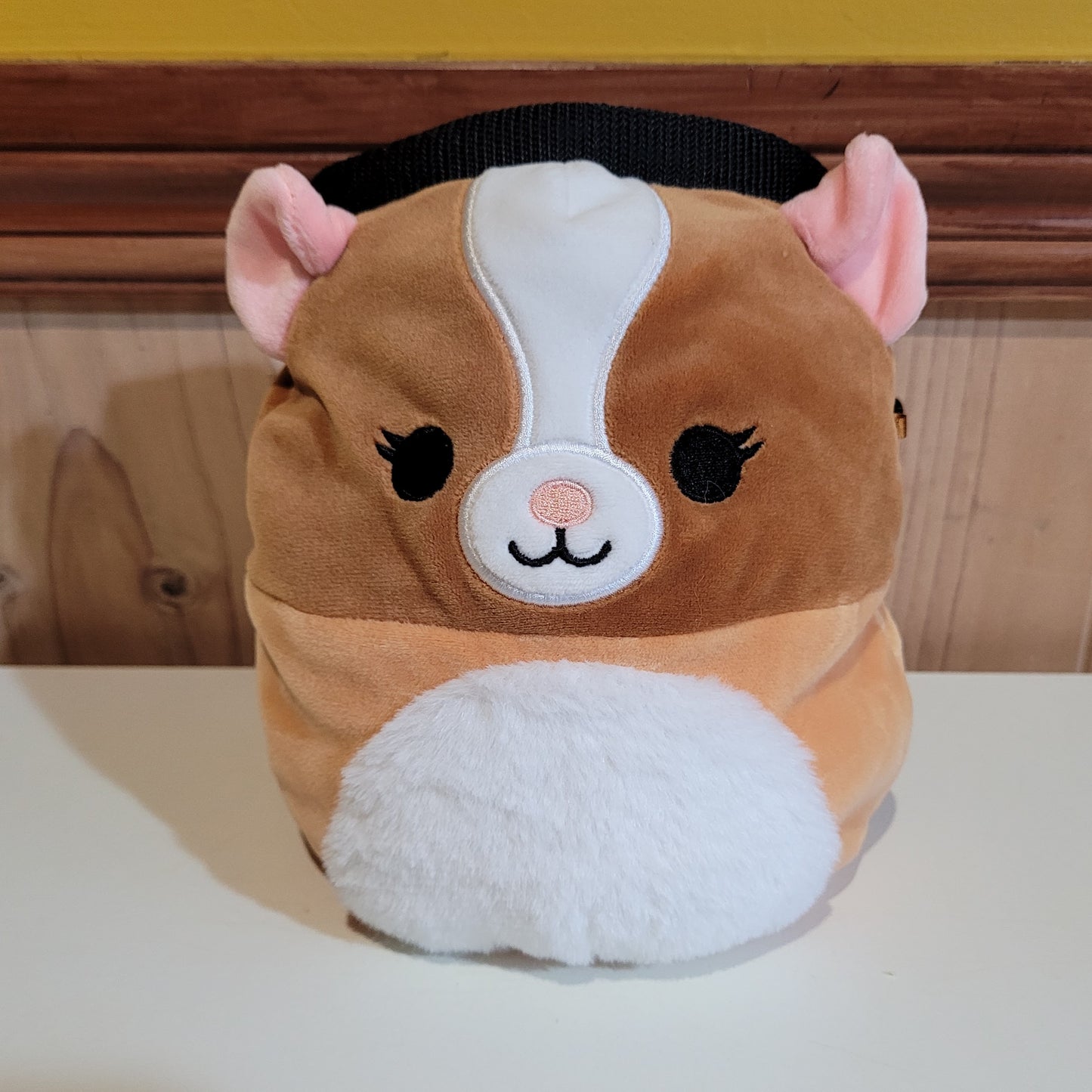 Hamster Rock Climbing Chalk Bag