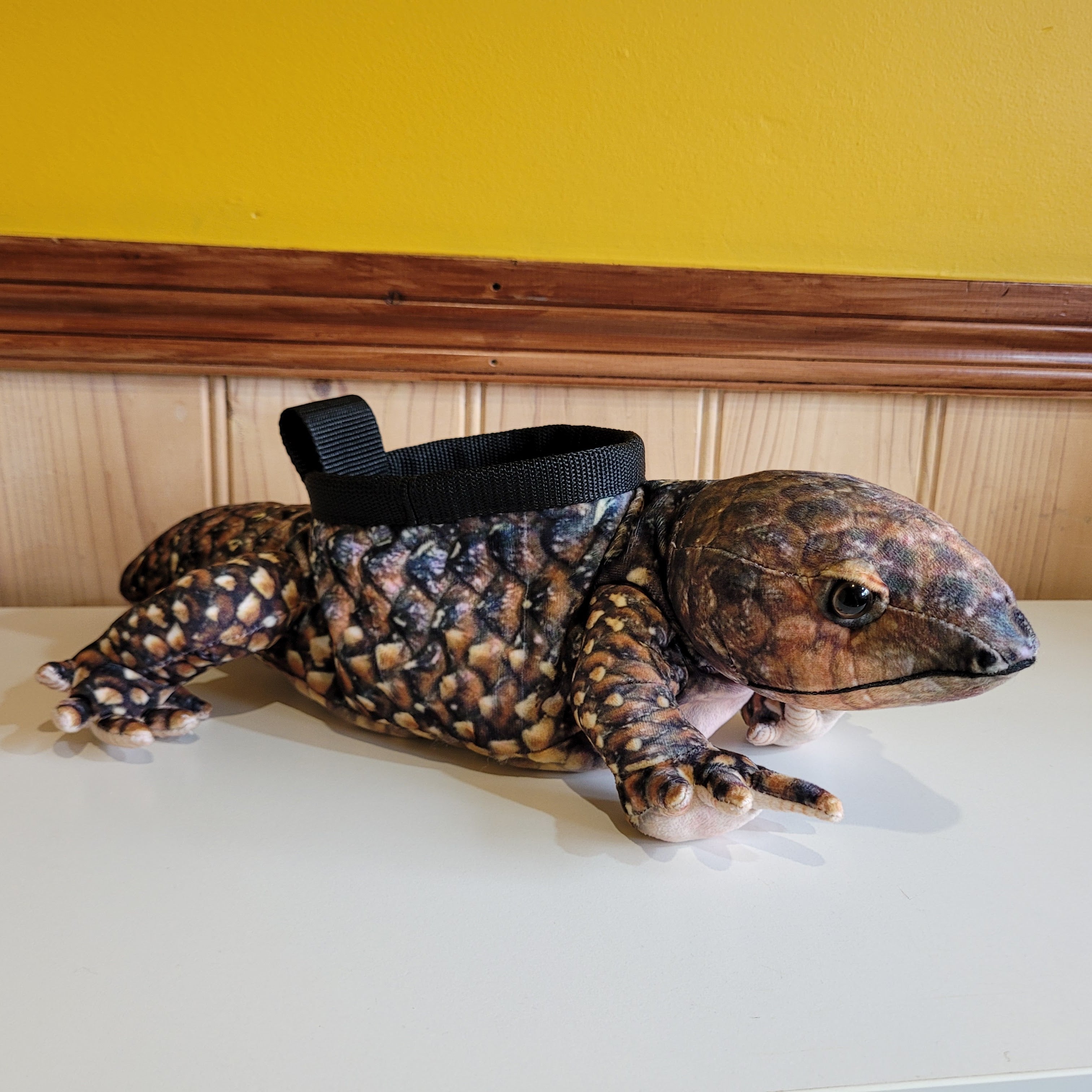 Stumpy Blue Tongued Lizard Rock Climbing Chalk Bag – Awesome Chalk Bags