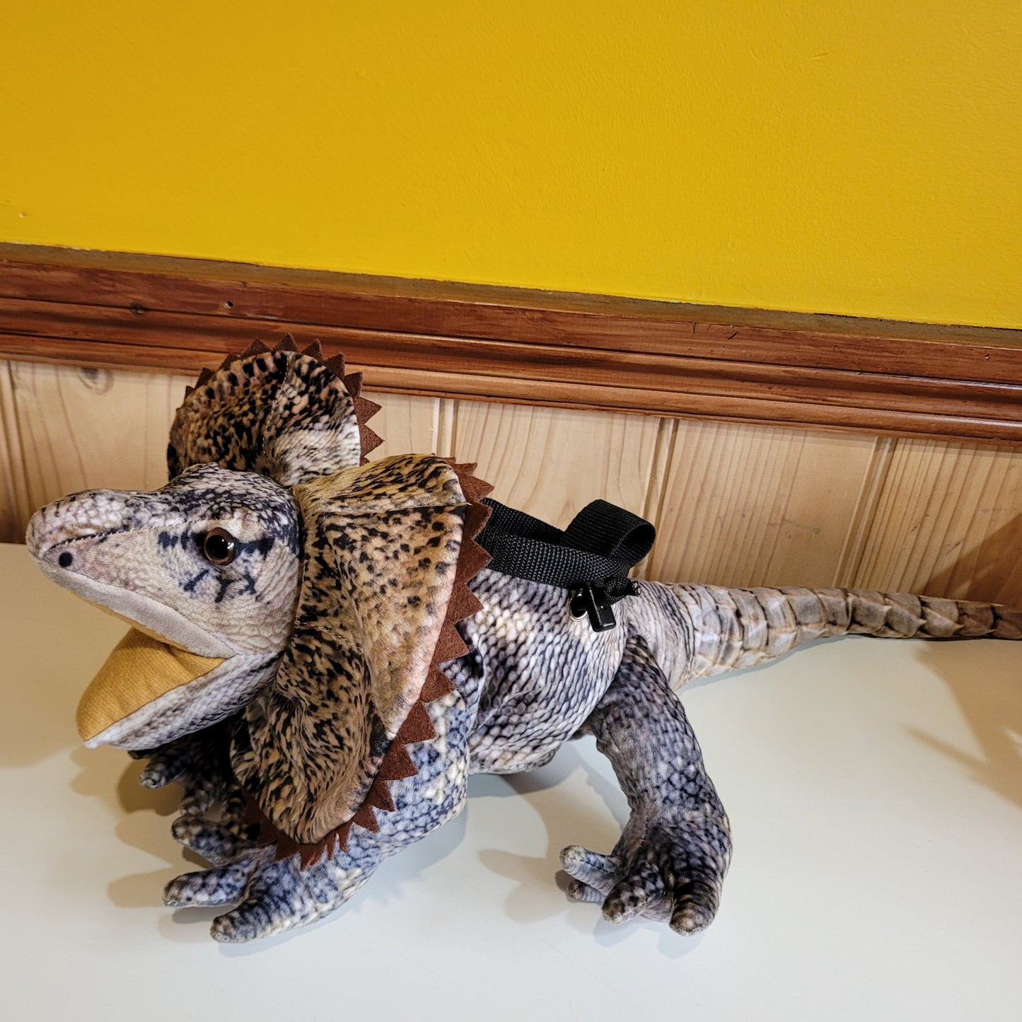 Frilled Neck Lizard Rock Climbing Chalk Bag