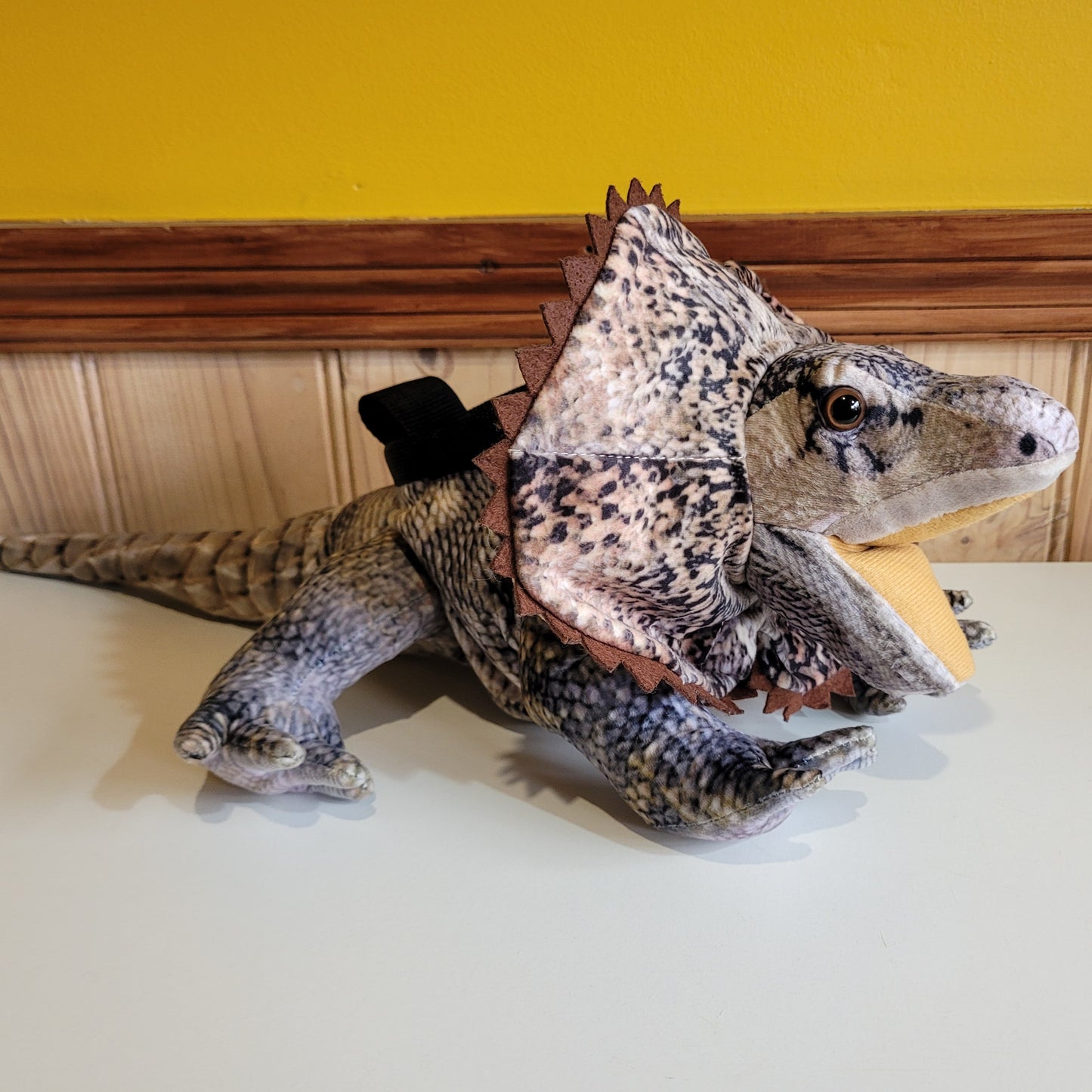 Frilled Neck Lizard Rock Climbing Chalk Bag