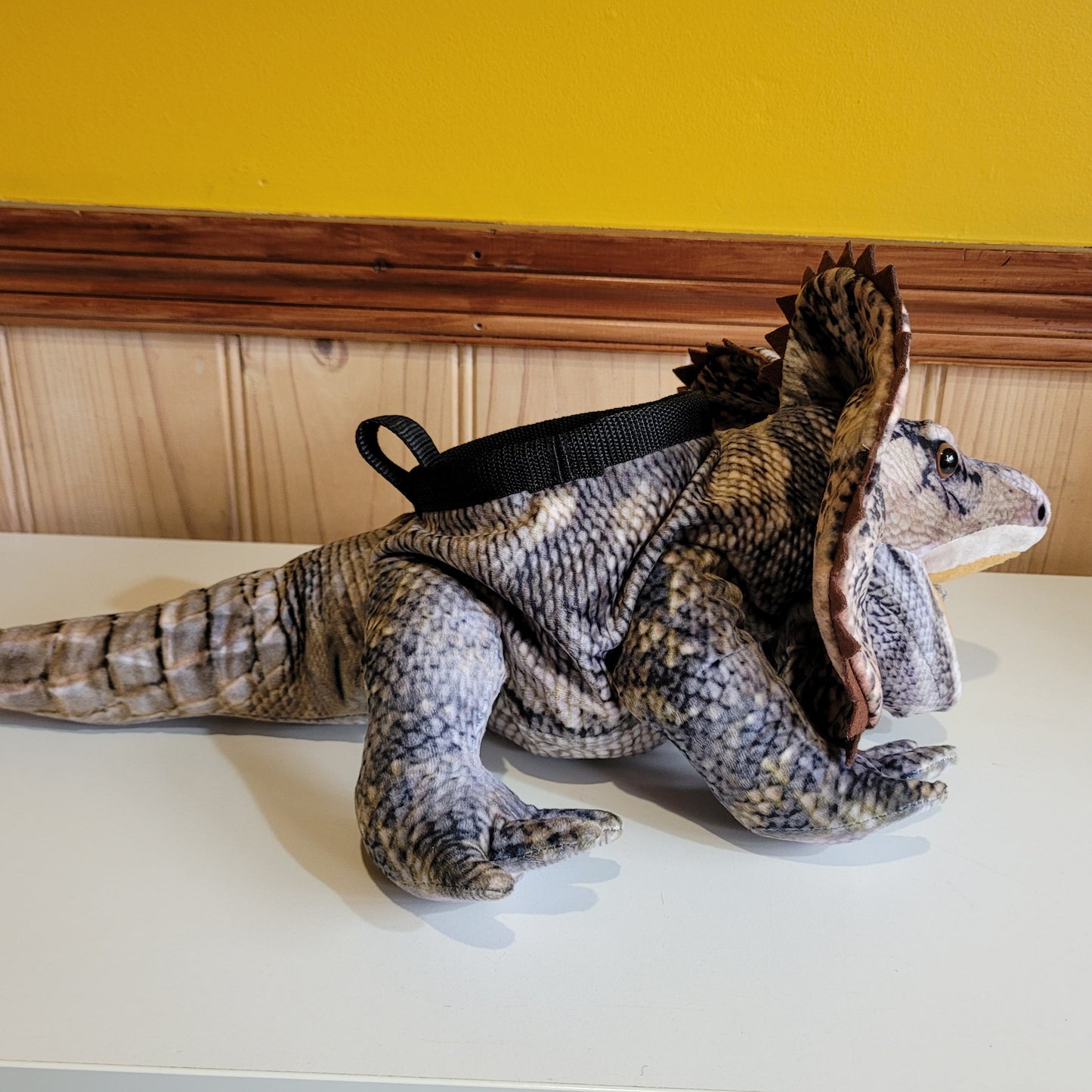 Frilled Neck Lizard Rock Climbing Chalk Bag