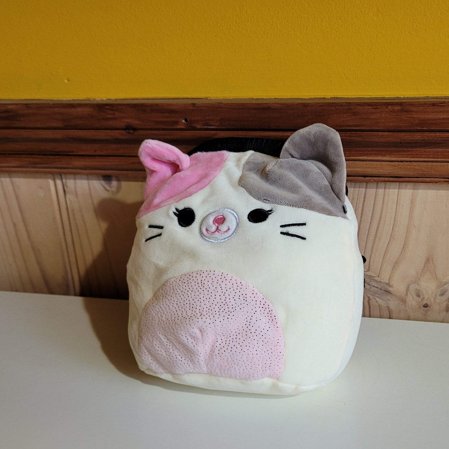 White Cat Rock Climbing Chalk Bag