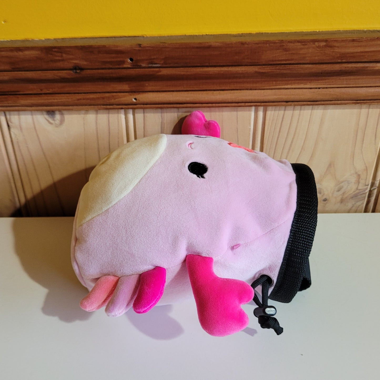 Pink Crab Rock Climbing Chalk Bag Awesome Chalk Bags