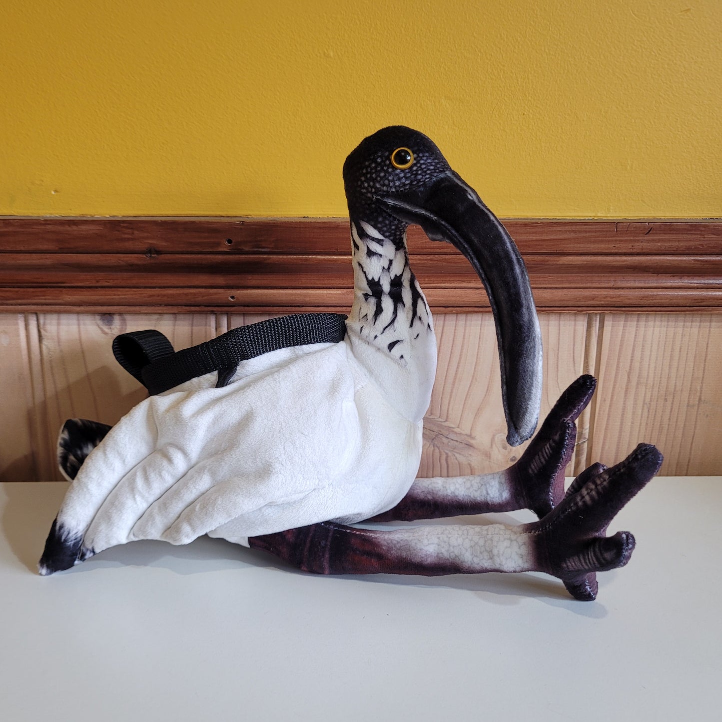 Bin Chicken Australian Ibis Rock Climbing Chalk Bag