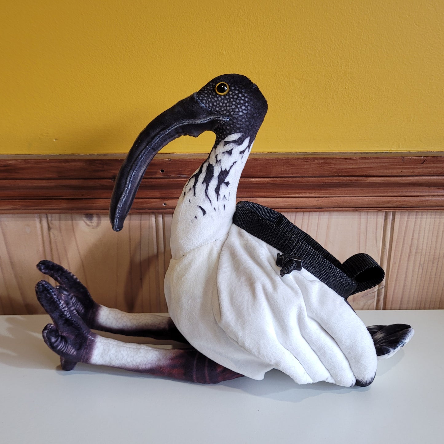 Bin Chicken Australian Ibis Rock Climbing Chalk Bag