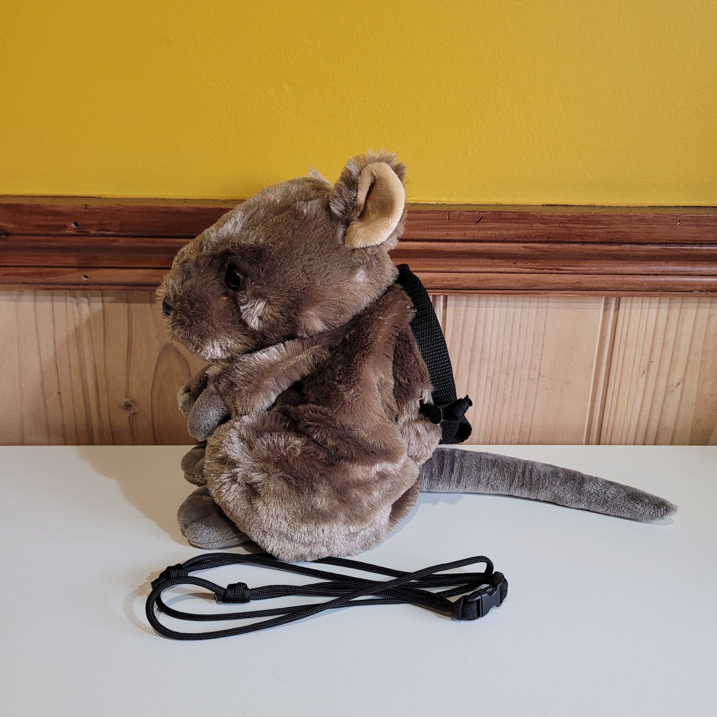 Quokka Rock Climbing Chalk Bag