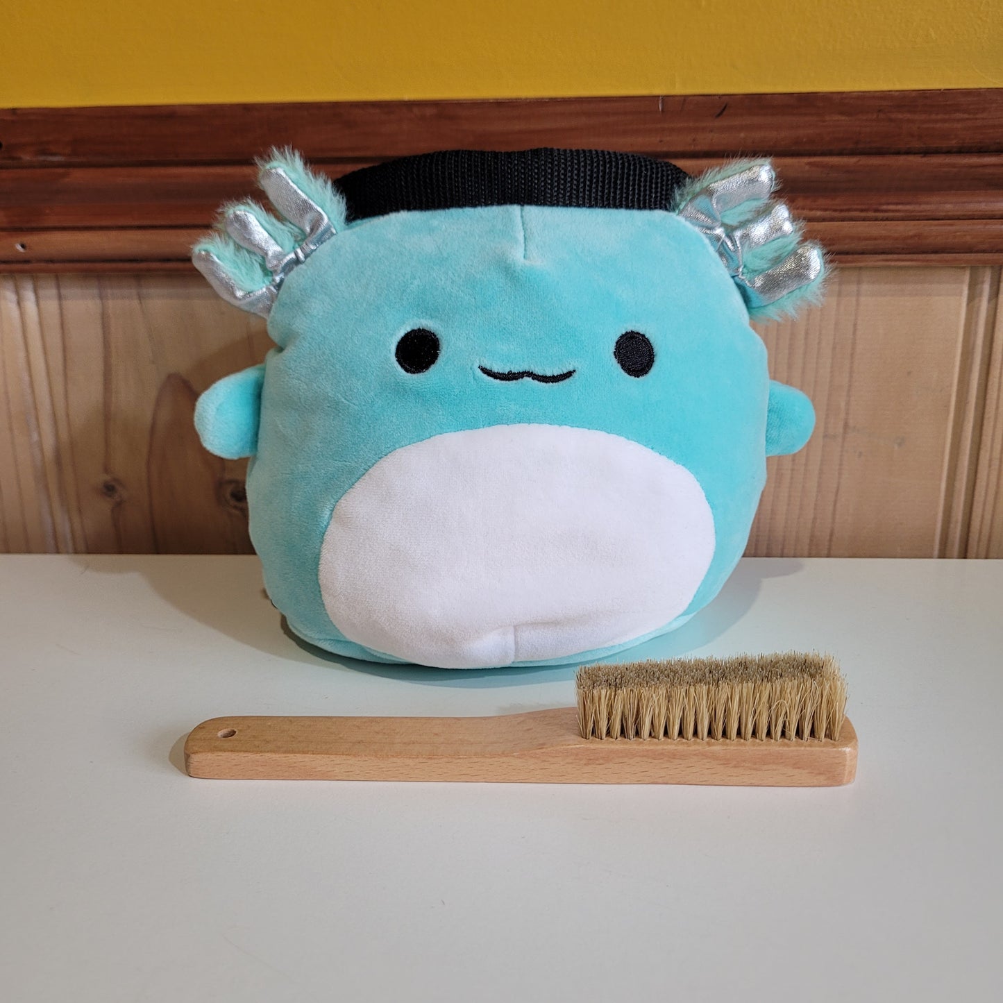 Axolotl Rock Climbing Chalk Bag