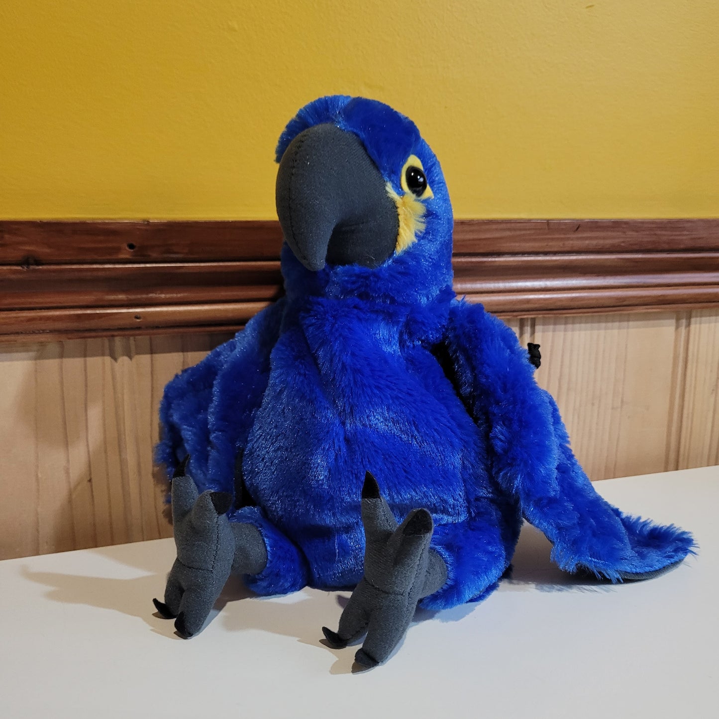 Hyacinth Macaw Rock Climbing Chalk Bag