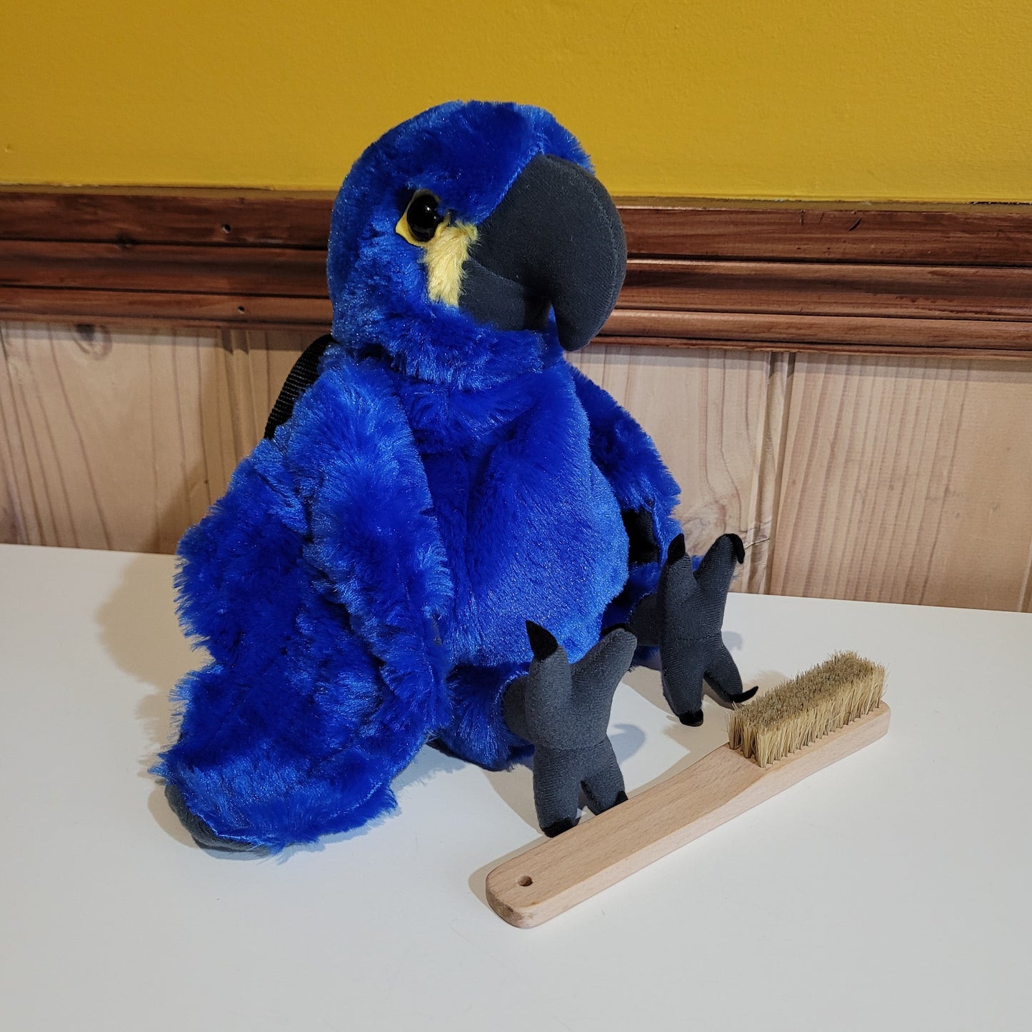 Hyacinth Macaw Rock Climbing Chalk Bag