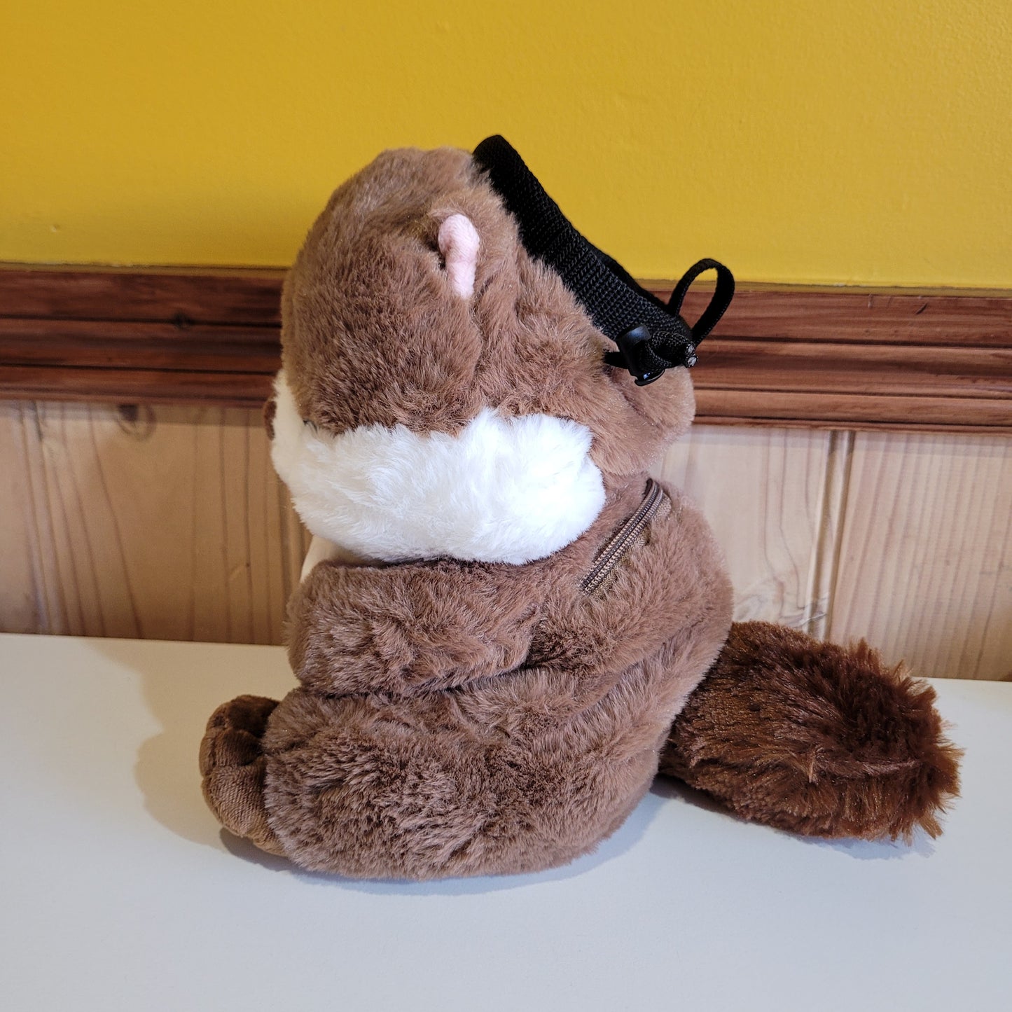 Otter with Clam Rock Climbing Chalk Bag