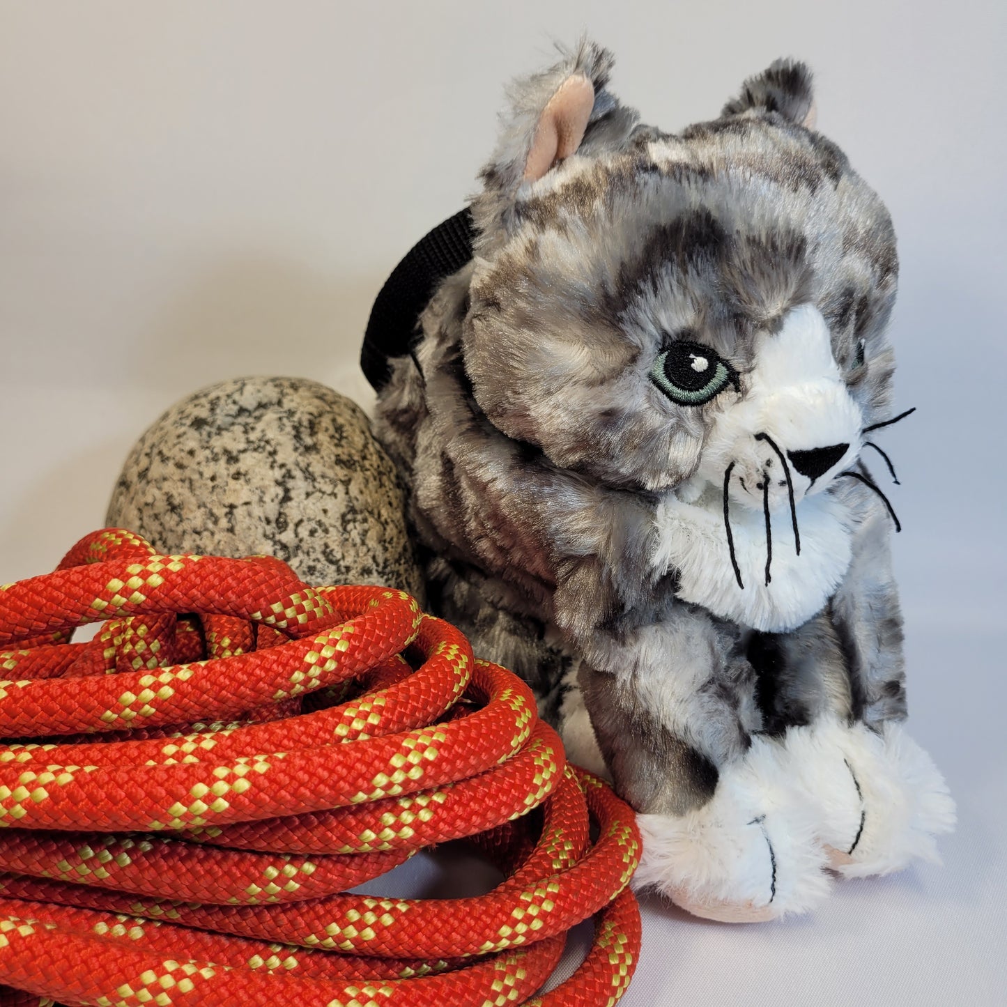 Grey Tabby Kitty Cat Rock Climbing Chalk Bag