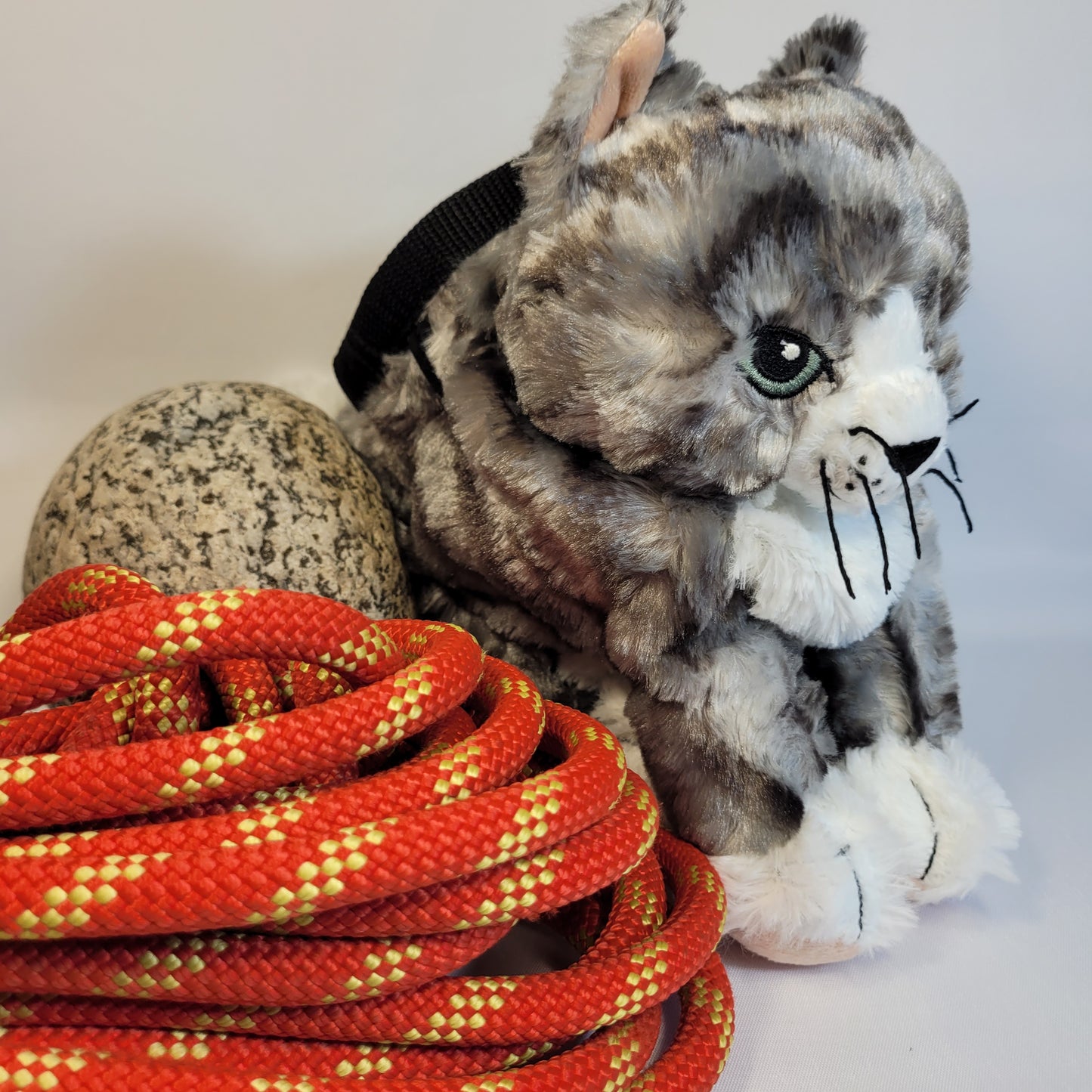 Grey Tabby Kitty Cat Rock Climbing Chalk Bag