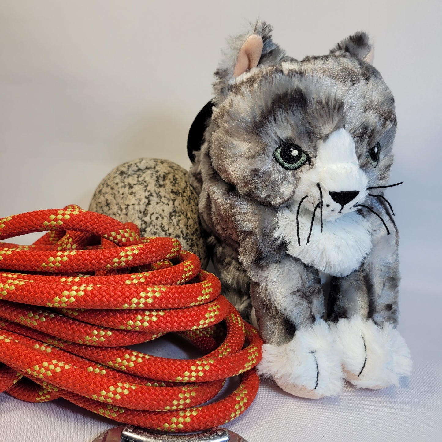 Grey Tabby Kitty Cat Rock Climbing Chalk Bag