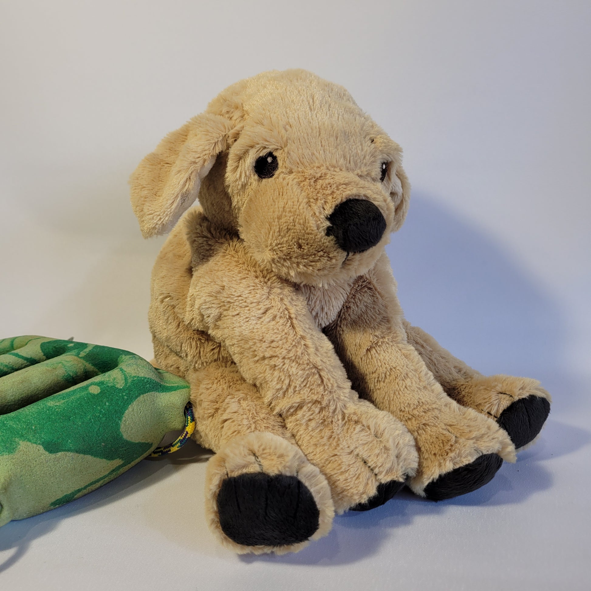 A plush golden Labrador Retriever chalk bag made from a soft toy, sitting upright on a white background with a green climbing accessory partially visible to the left.