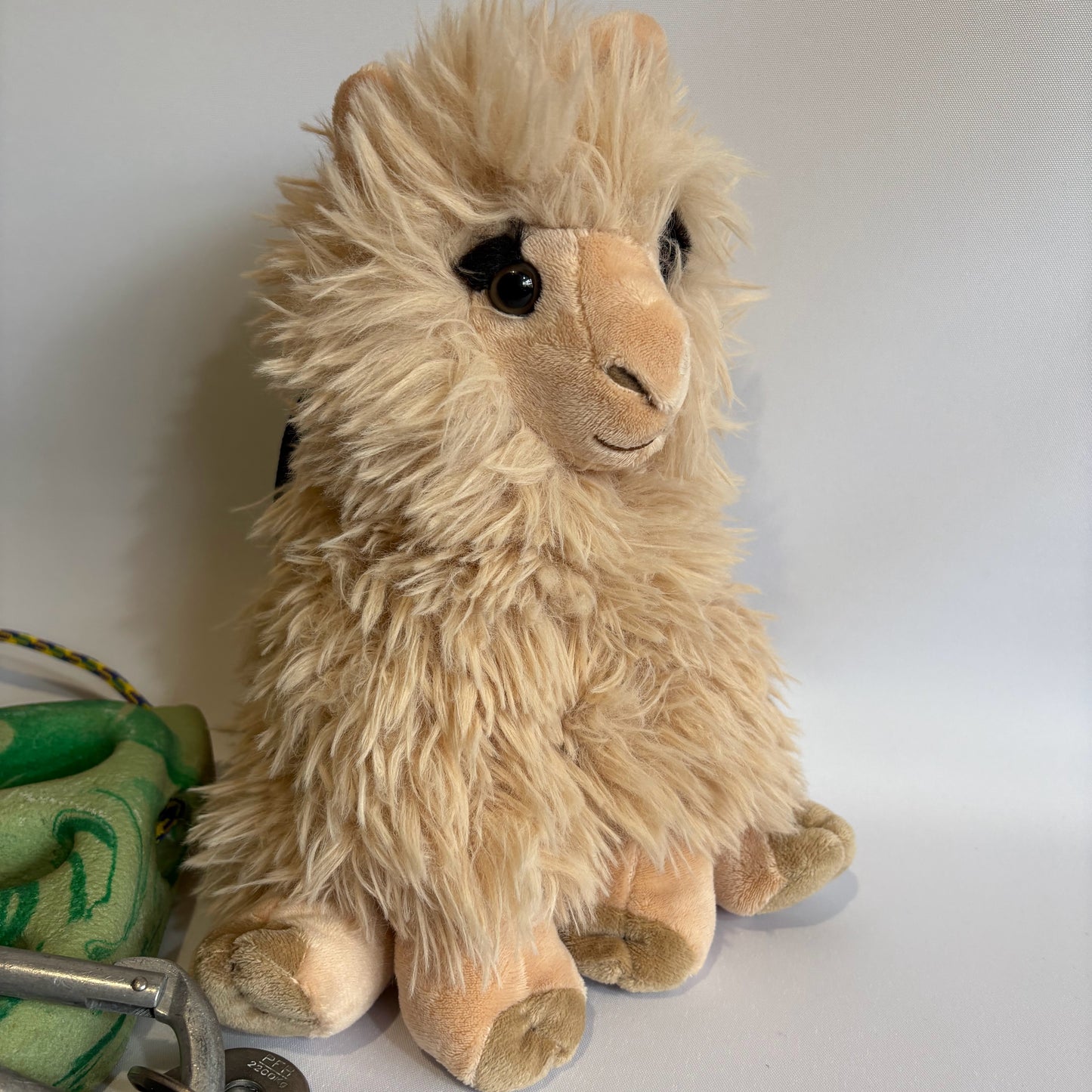 Alpaca Rock Climbing Chalk Bag