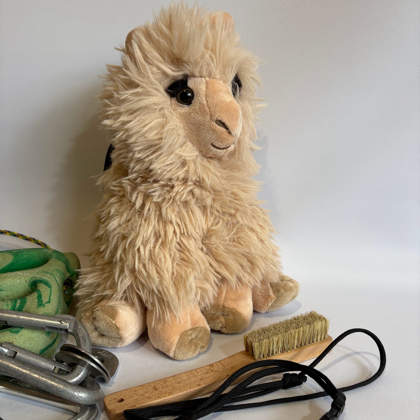 Alpaca Rock Climbing Chalk Bag