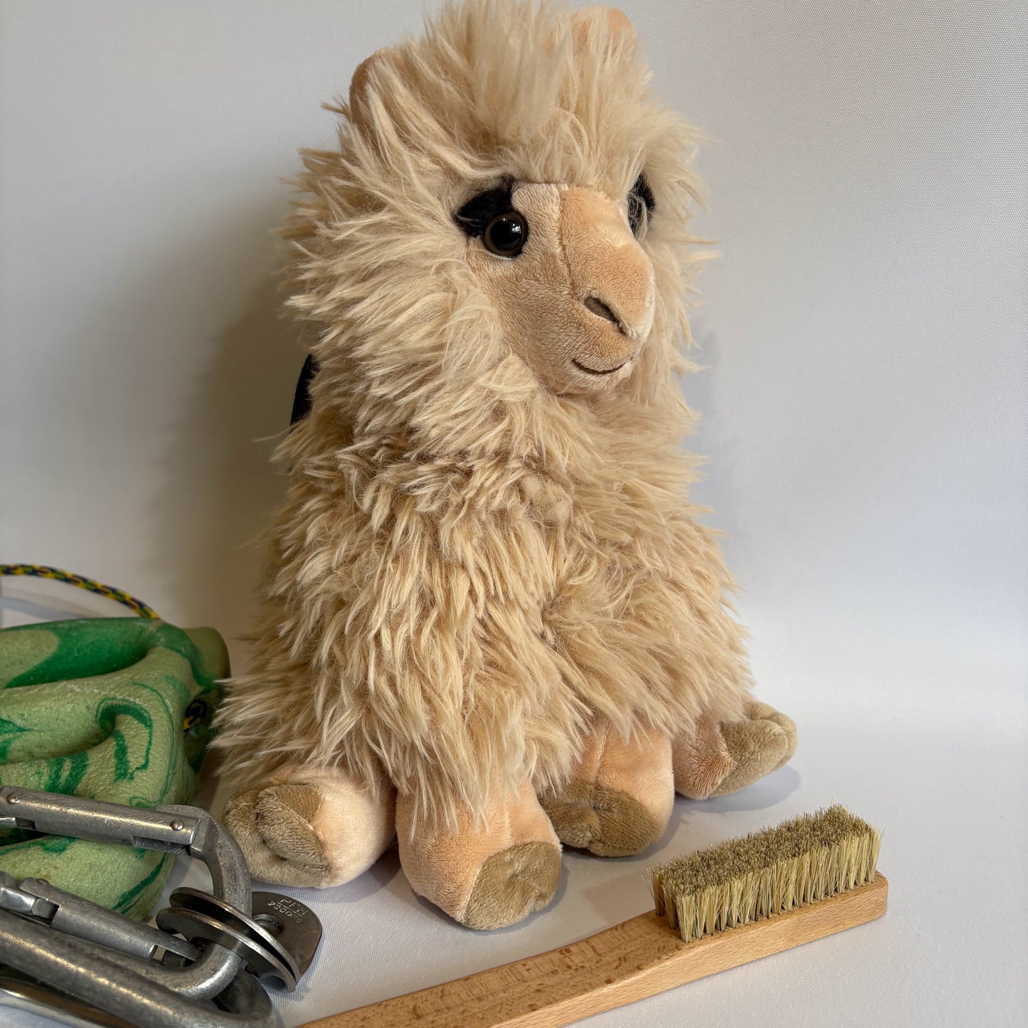 Alpaca Rock Climbing Chalk Bag