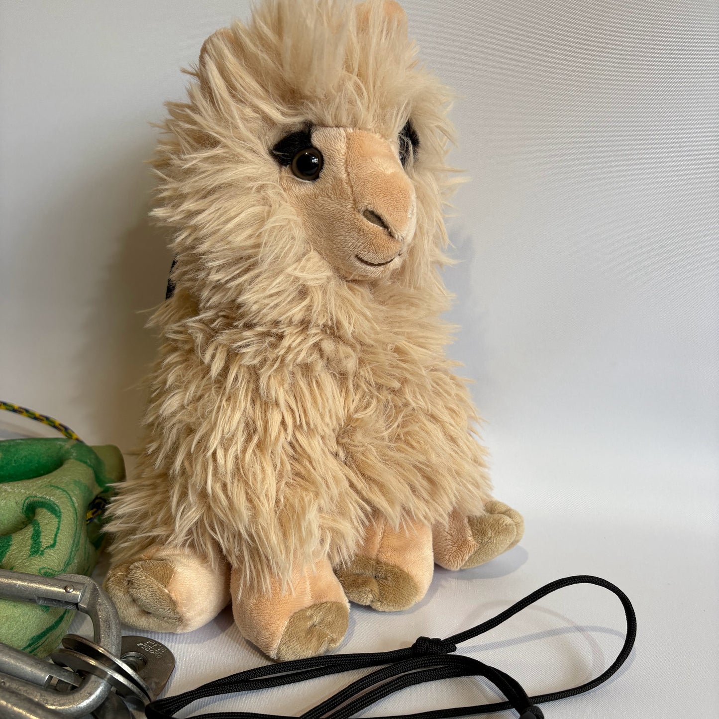 Alpaca Rock Climbing Chalk Bag