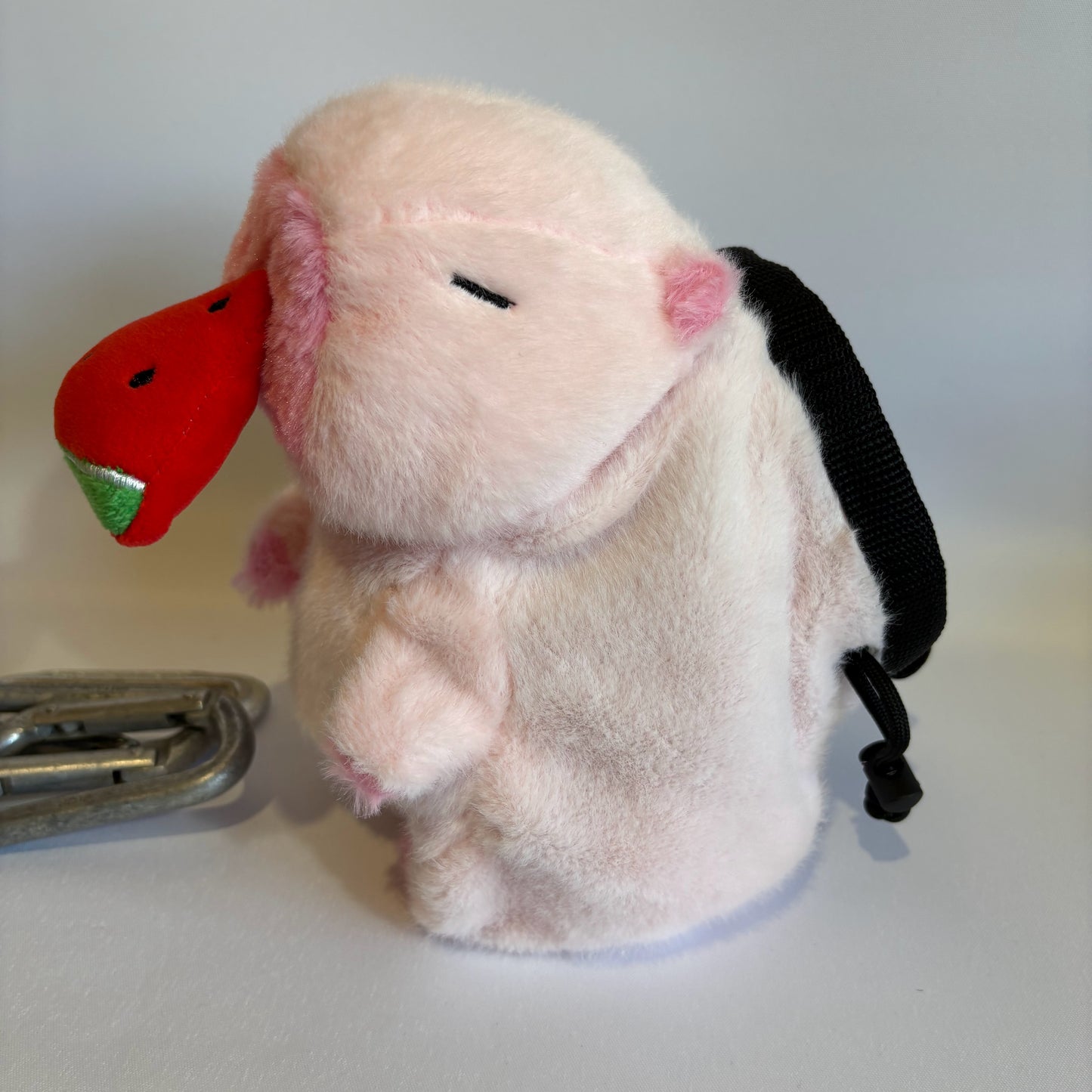 Pink Capybara with Watermelon Rock Climbing Chalk Bag