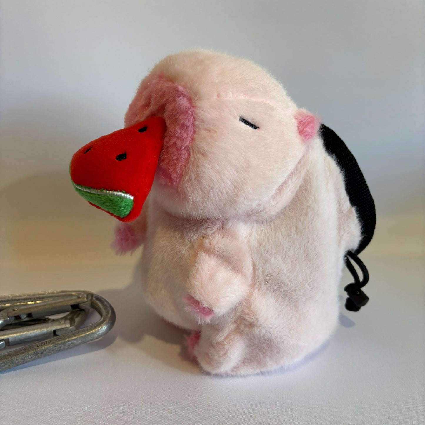 Pink Capybara with Watermelon Rock Climbing Chalk Bag