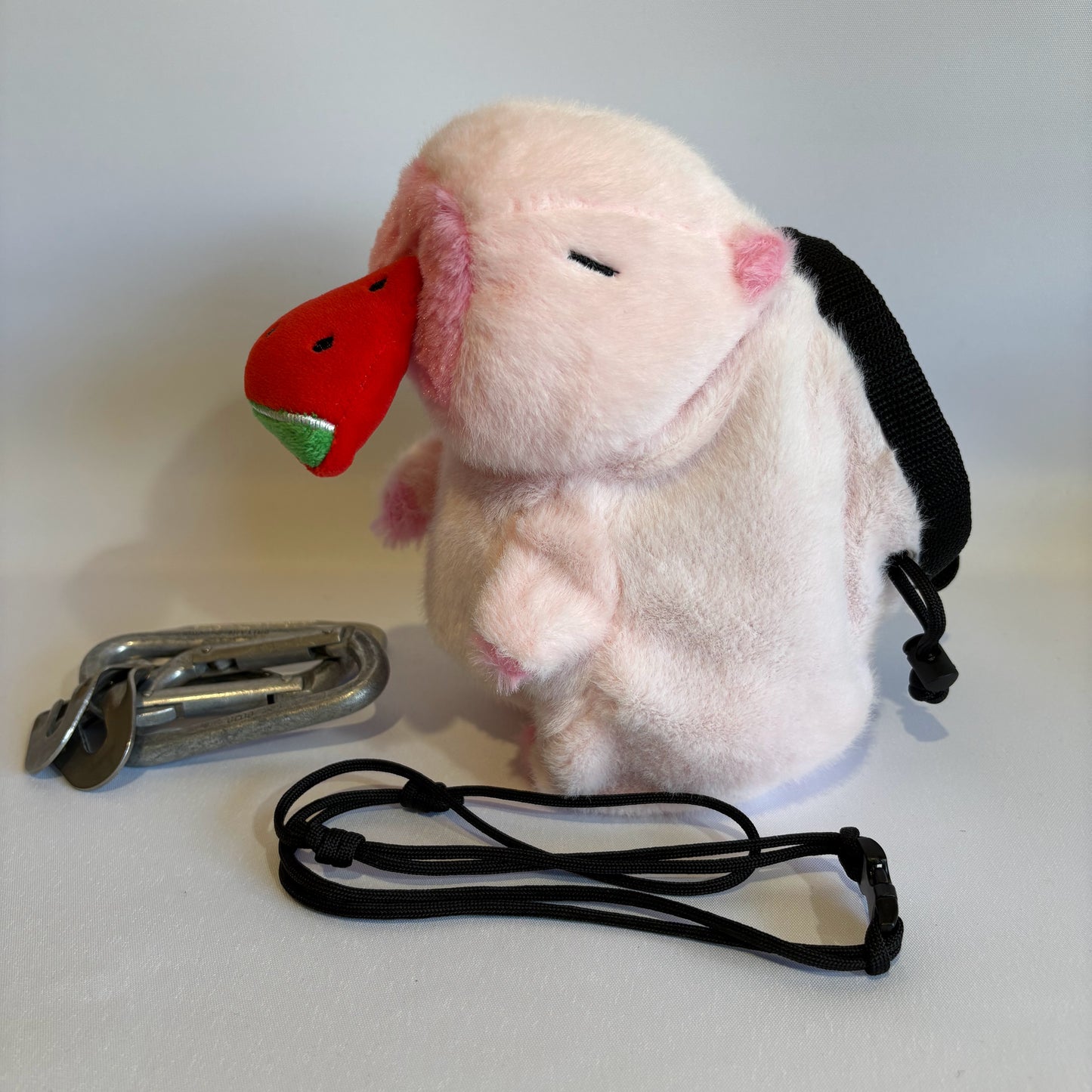 Pink Capybara with Watermelon Rock Climbing Chalk Bag