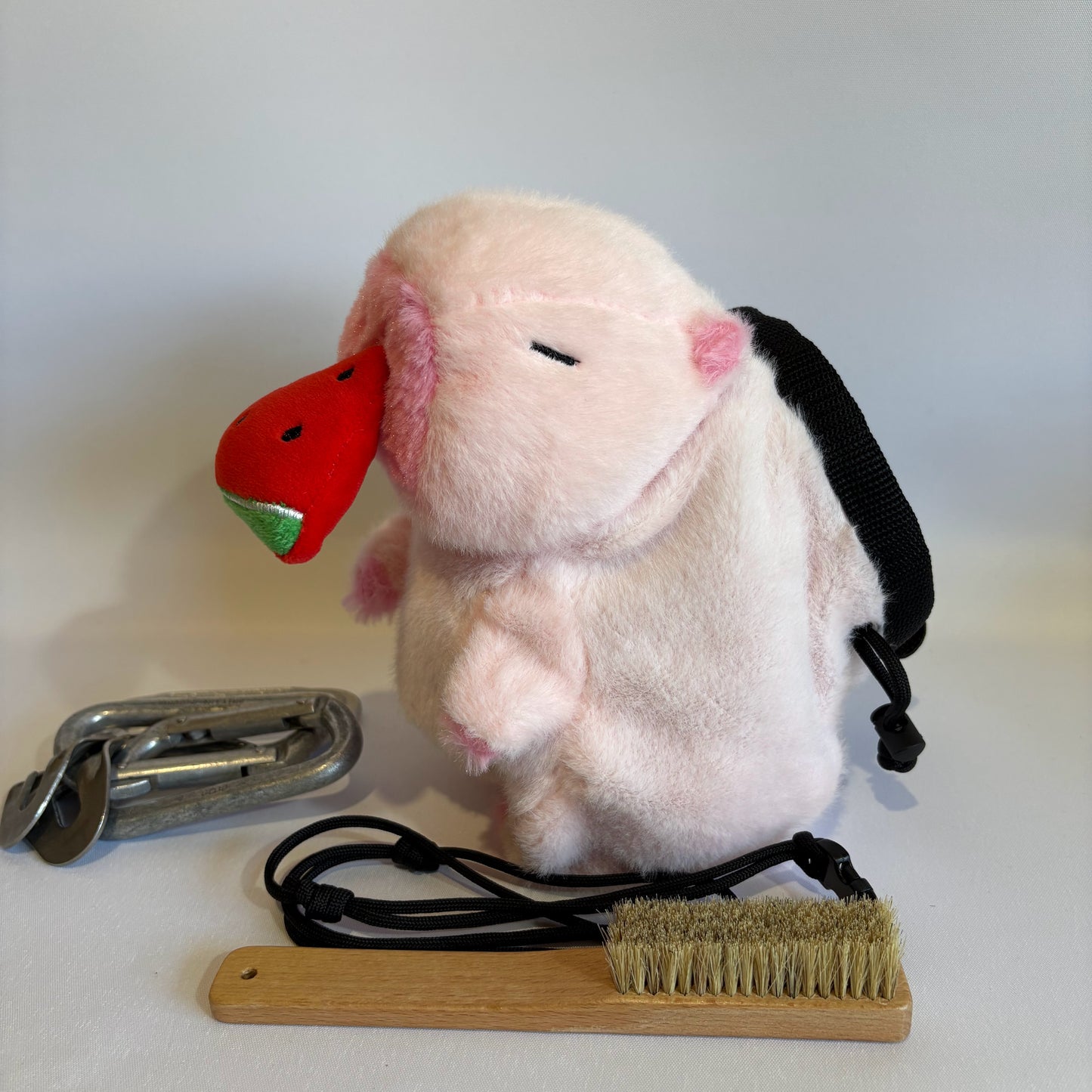 Pink Capybara with Watermelon Rock Climbing Chalk Bag