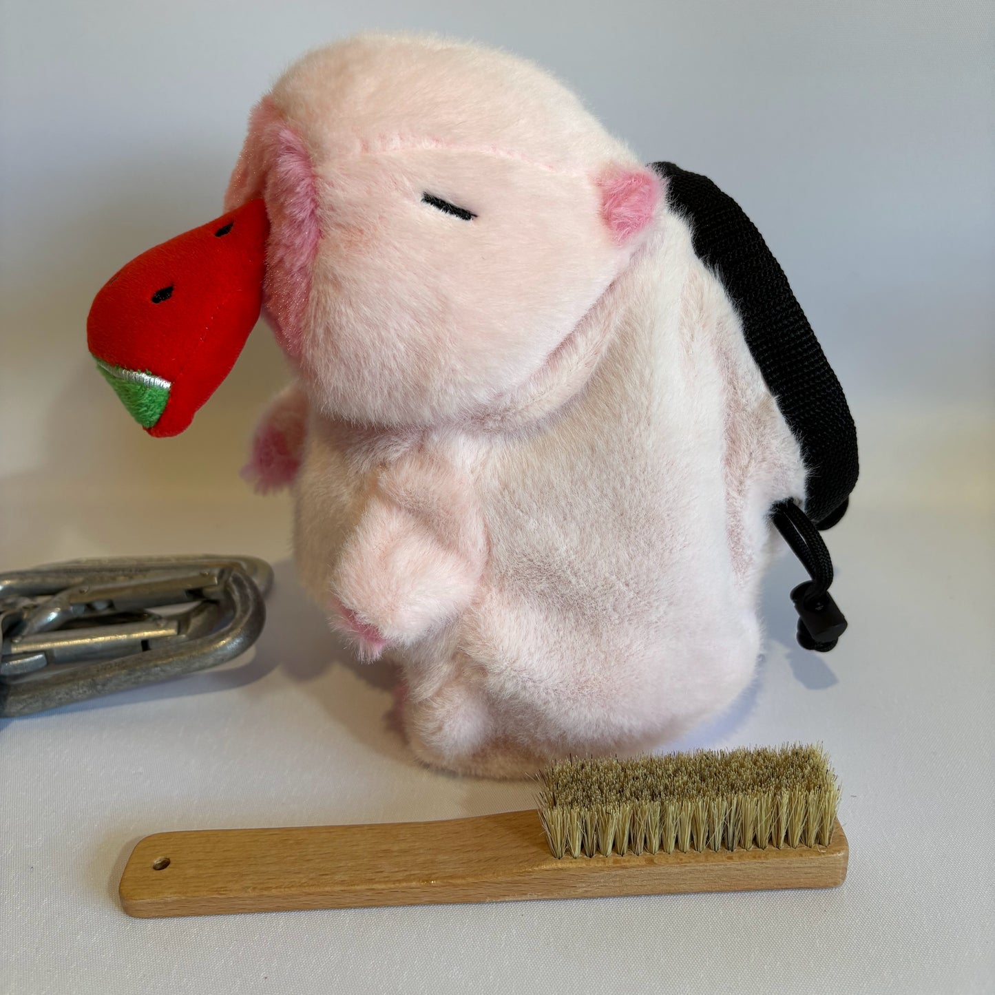 Pink Capybara with Watermelon Rock Climbing Chalk Bag