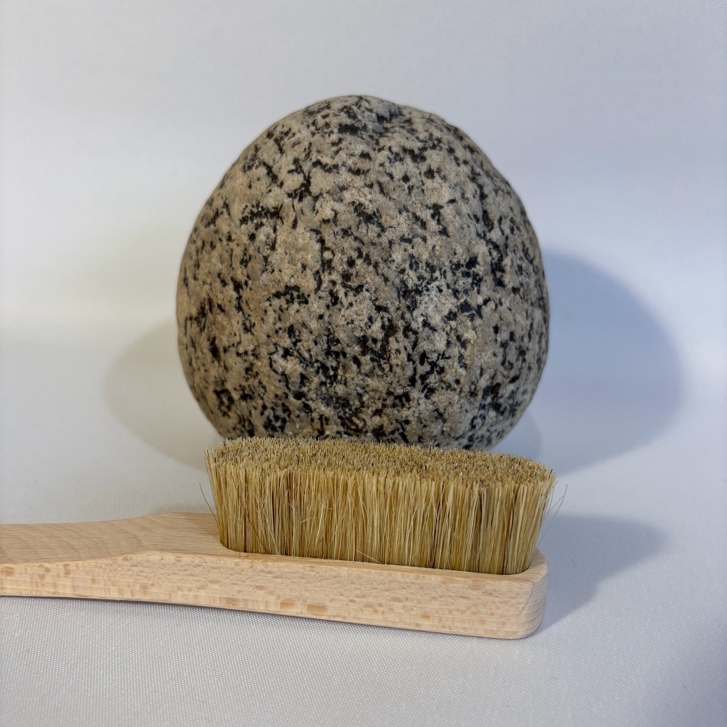 Climbing or Bouldering Chalk Brush