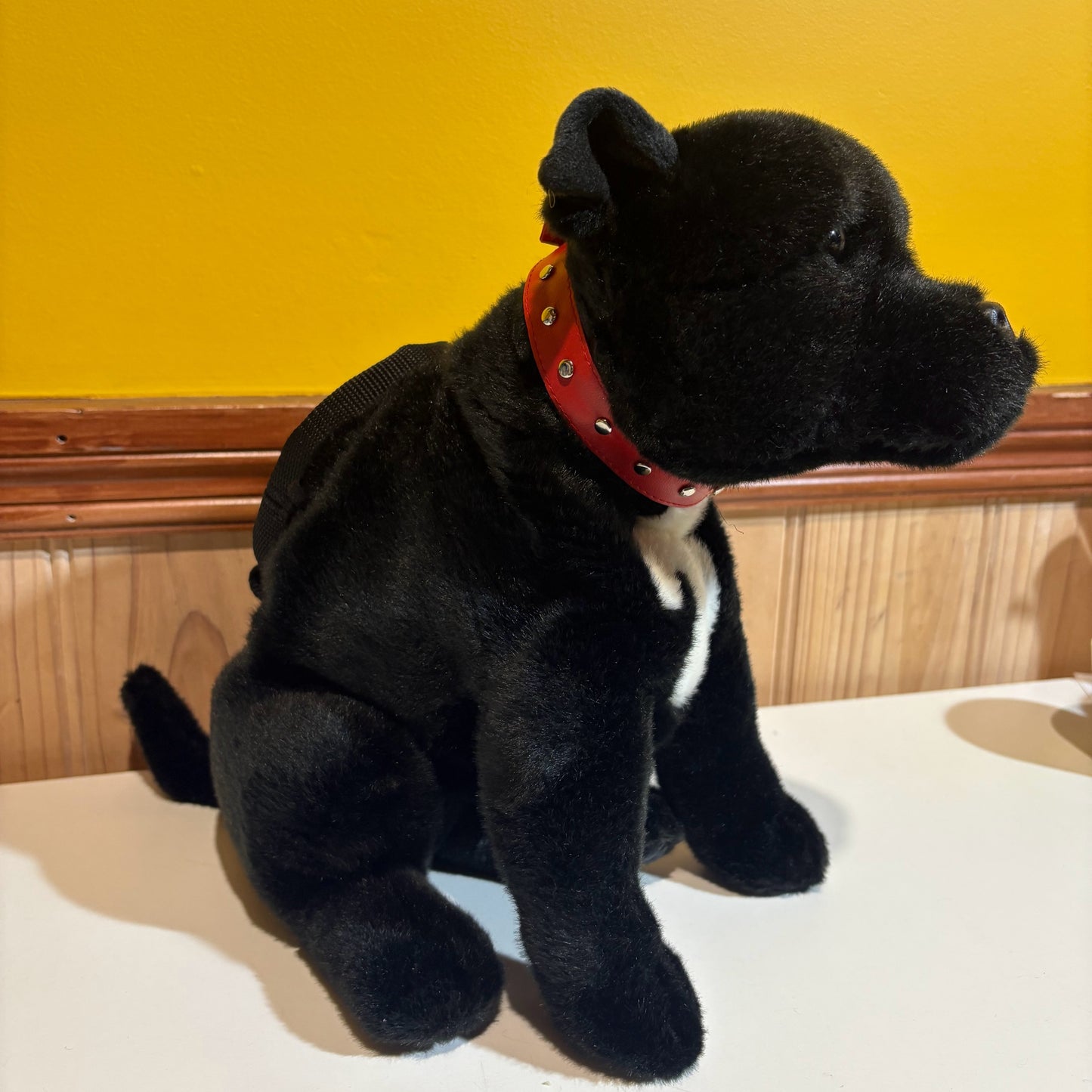 Custom Black and White Dog Rock Climbing Chalk Bag
