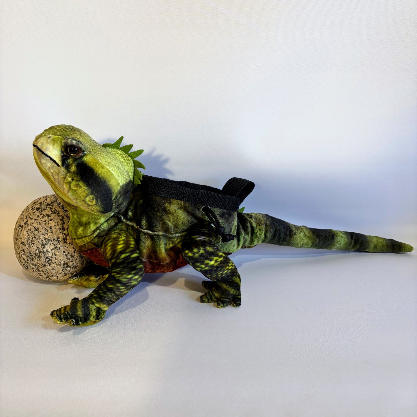Water Dragon Lizard Rock Climbing Chalk Bag