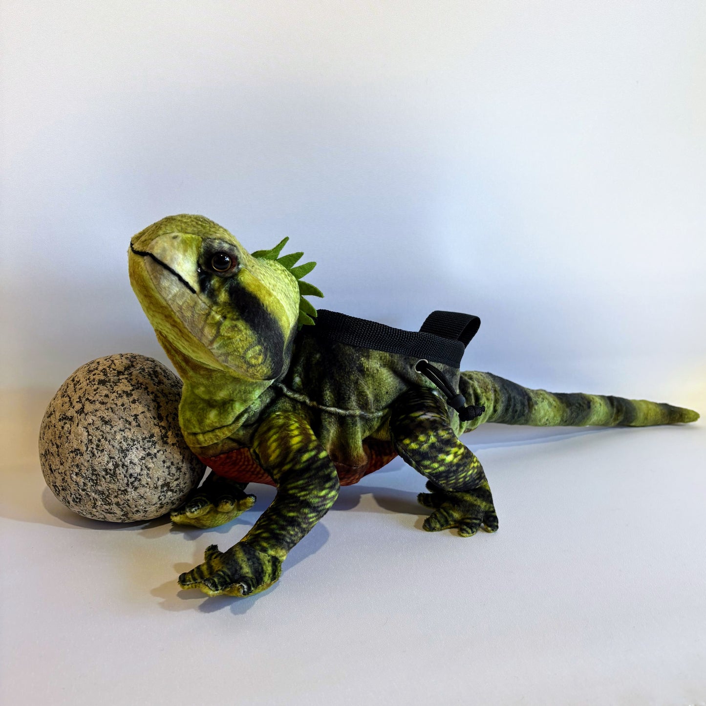 Water Dragon Lizard Rock Climbing Chalk Bag
