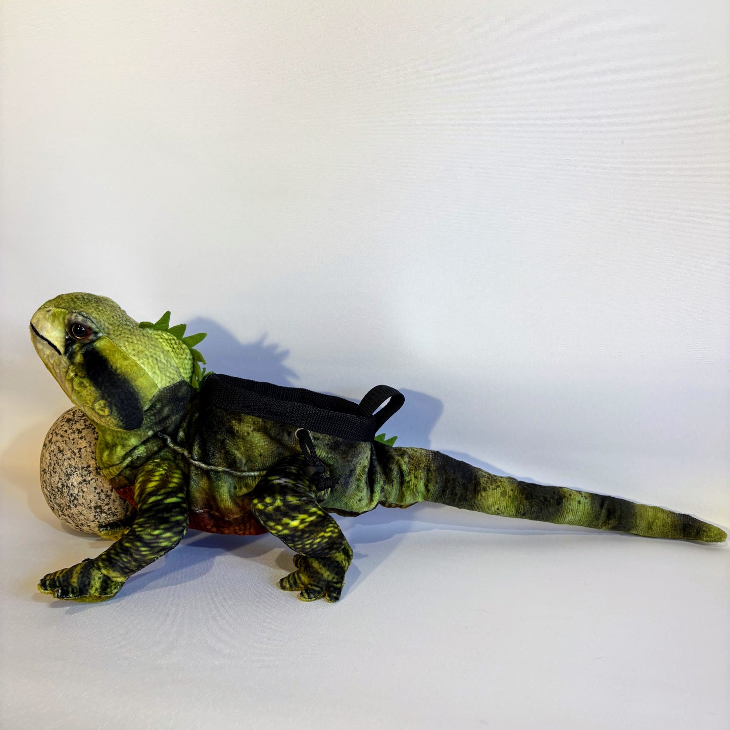 Water Dragon Lizard Rock Climbing Chalk Bag