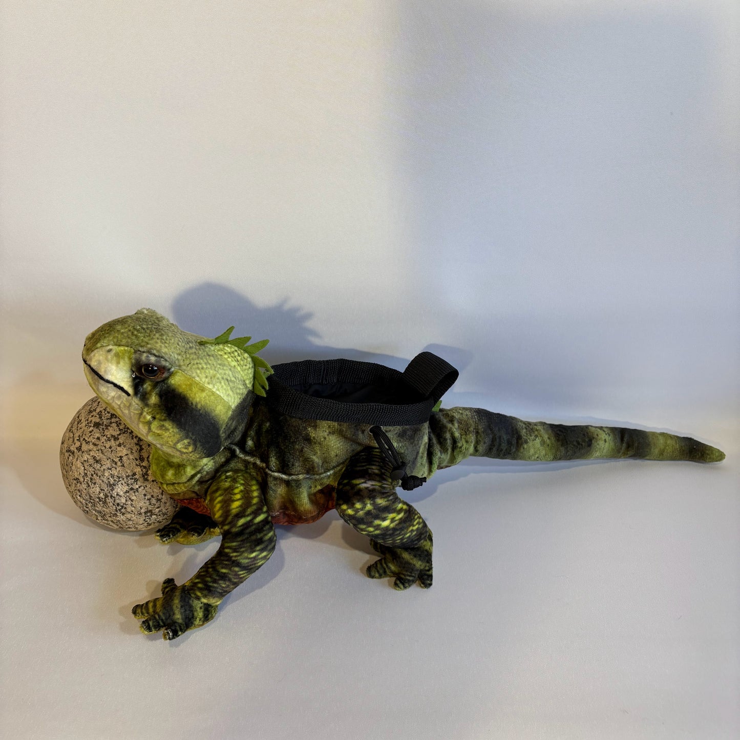 Water Dragon Lizard Rock Climbing Chalk Bag