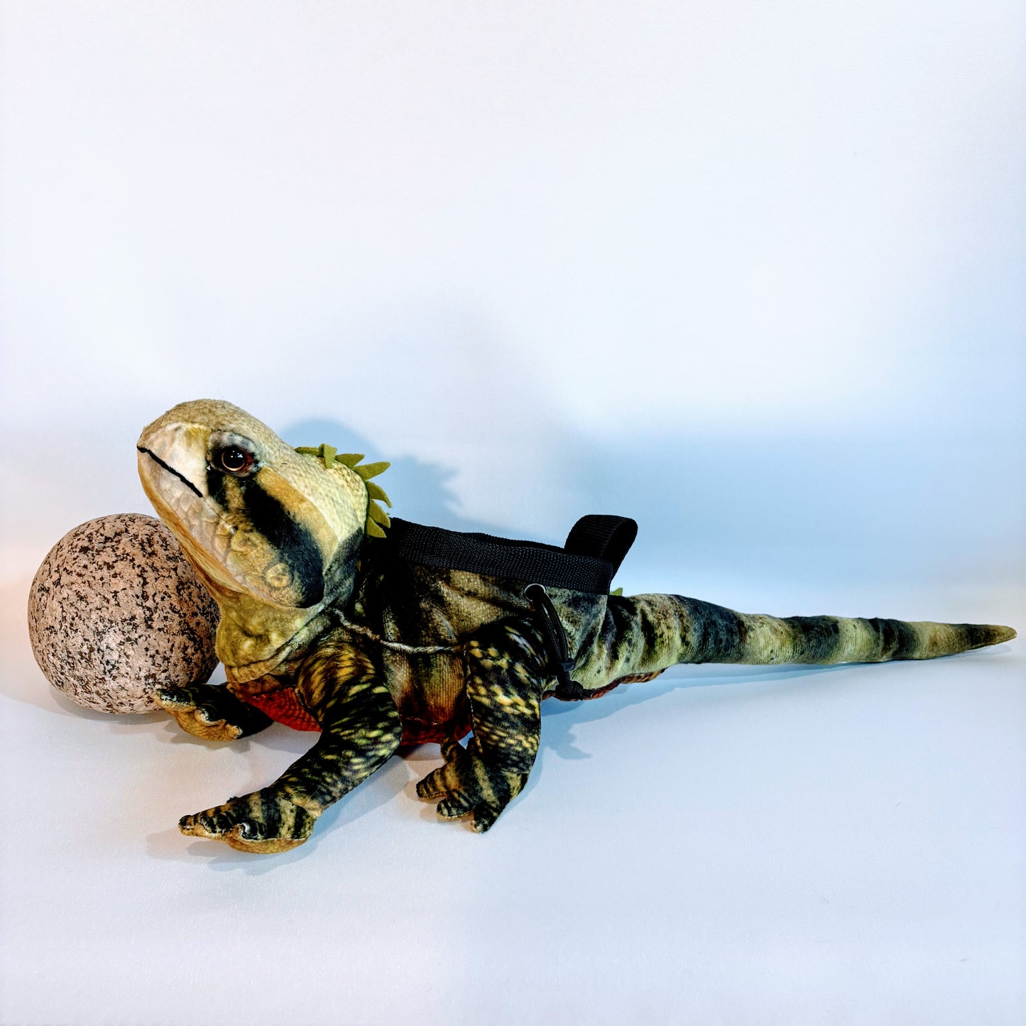 Water Dragon Lizard Rock Climbing Chalk Bag