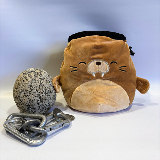 Walrus Rock Climbing Chalk Bag